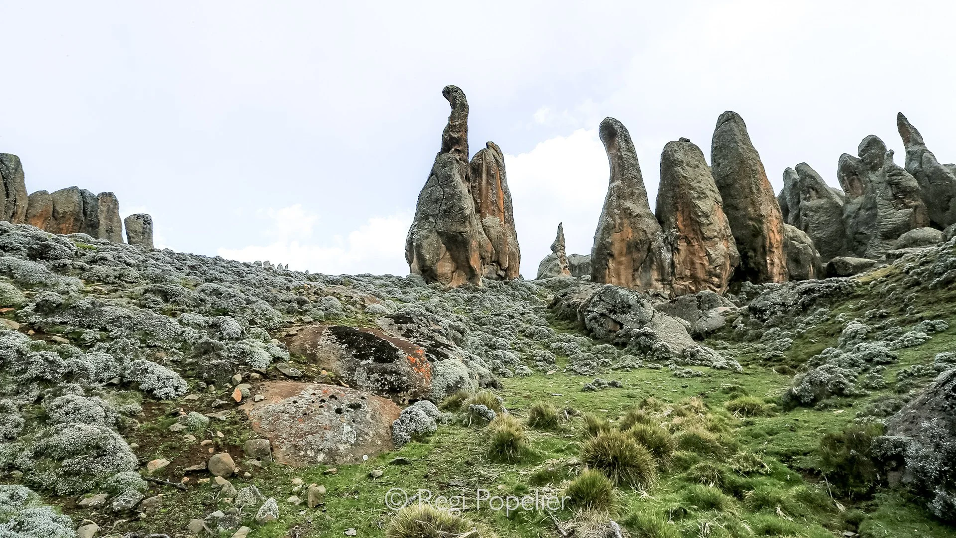 ETH009 - During the trekking in Bale NP the raft lave rocks 