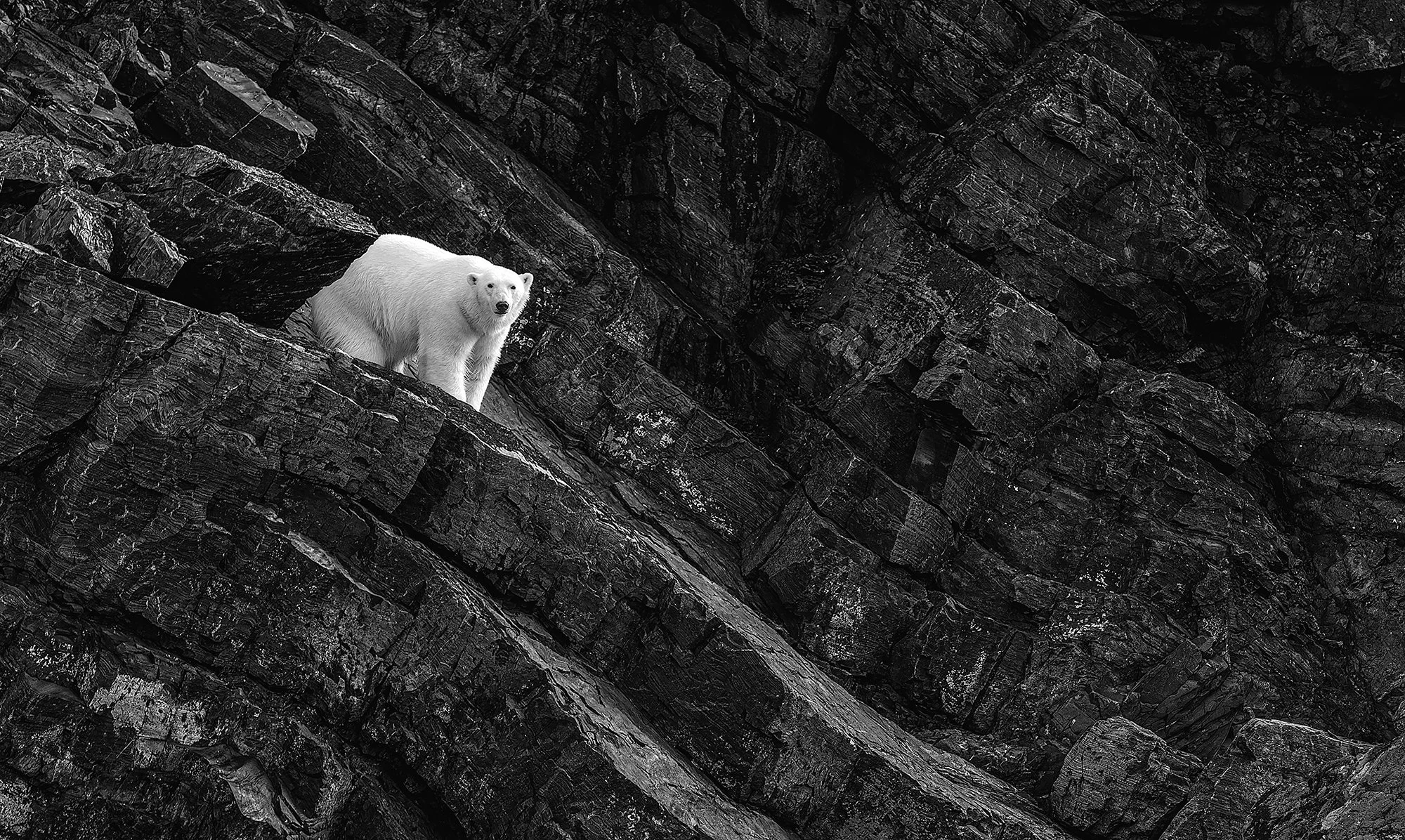 BW 008 Descent GF4P3709-  100x60cm  kopiëren.jpg