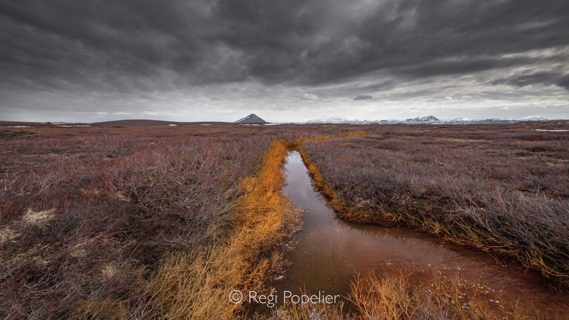 ICEL015 - Rust like land around small rivers are primarily caused by iron rich sediment. This phenomenon is driven by geothermal activity, volcanic minerals, and groundwater interacting with wetlands 