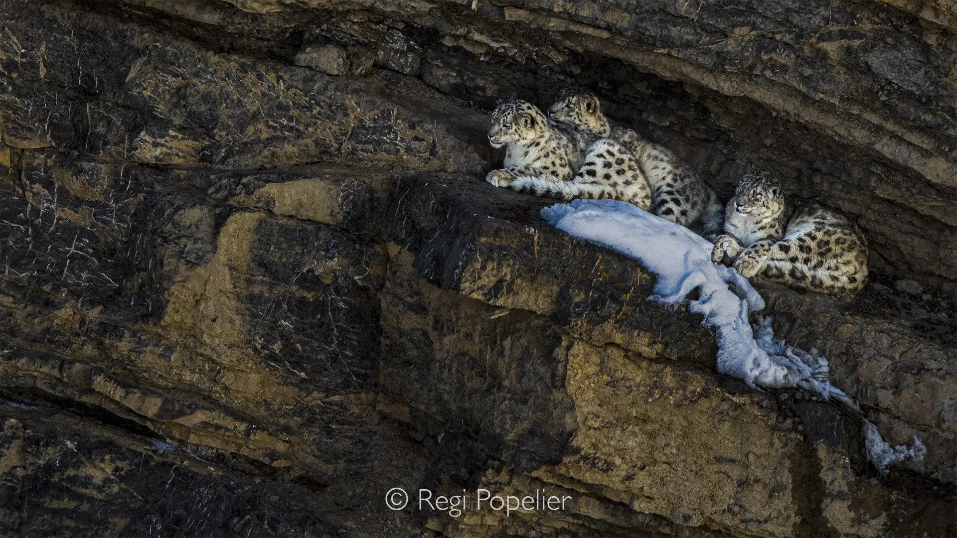 HIMA049 - on the other side of the canyon , they stayed there t'ill late afternoon 