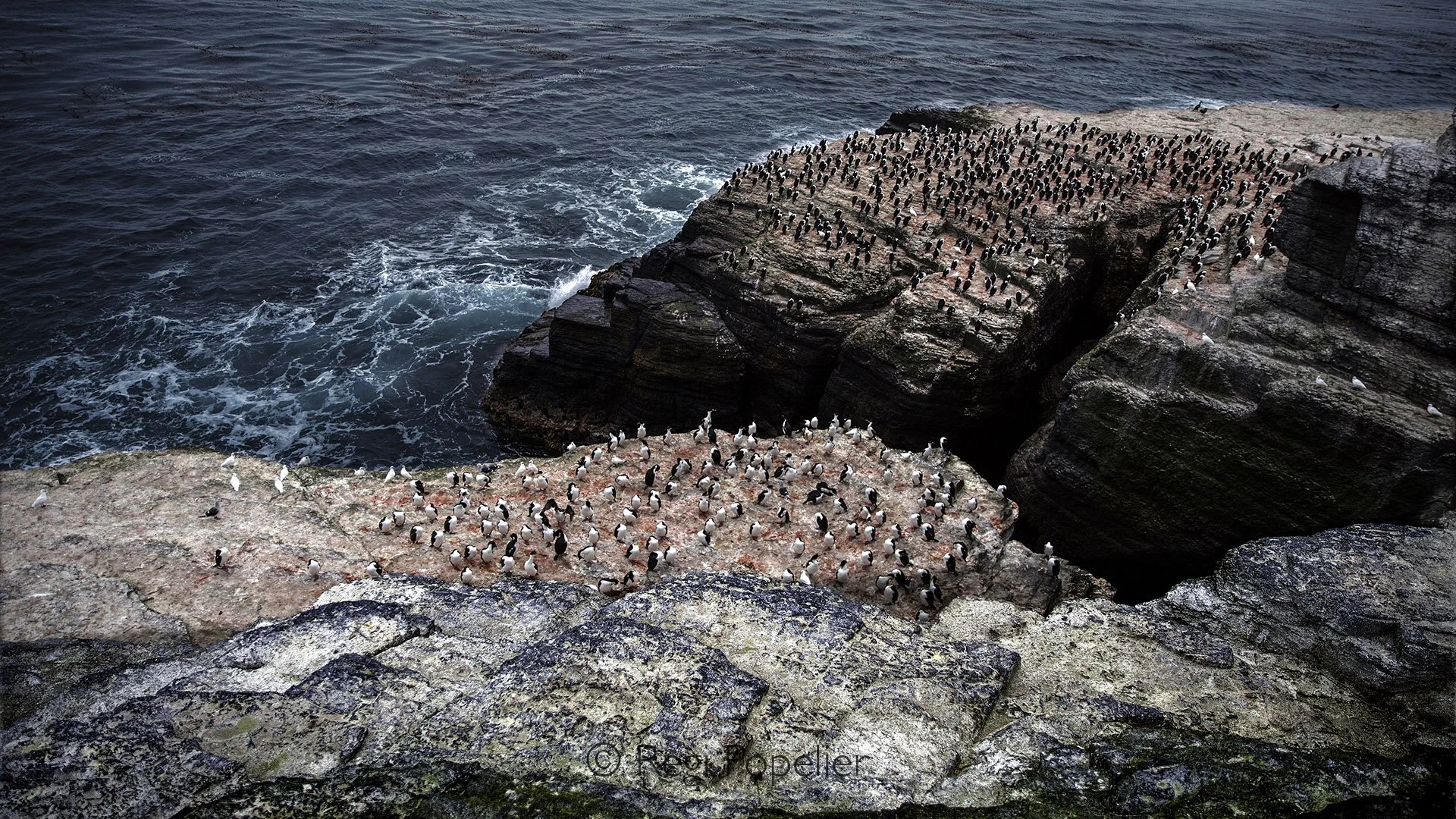 FAL039 - Nature’s palette on display: guano colored rocks and the vibrant blue sea, sculpted by giant rock formations.