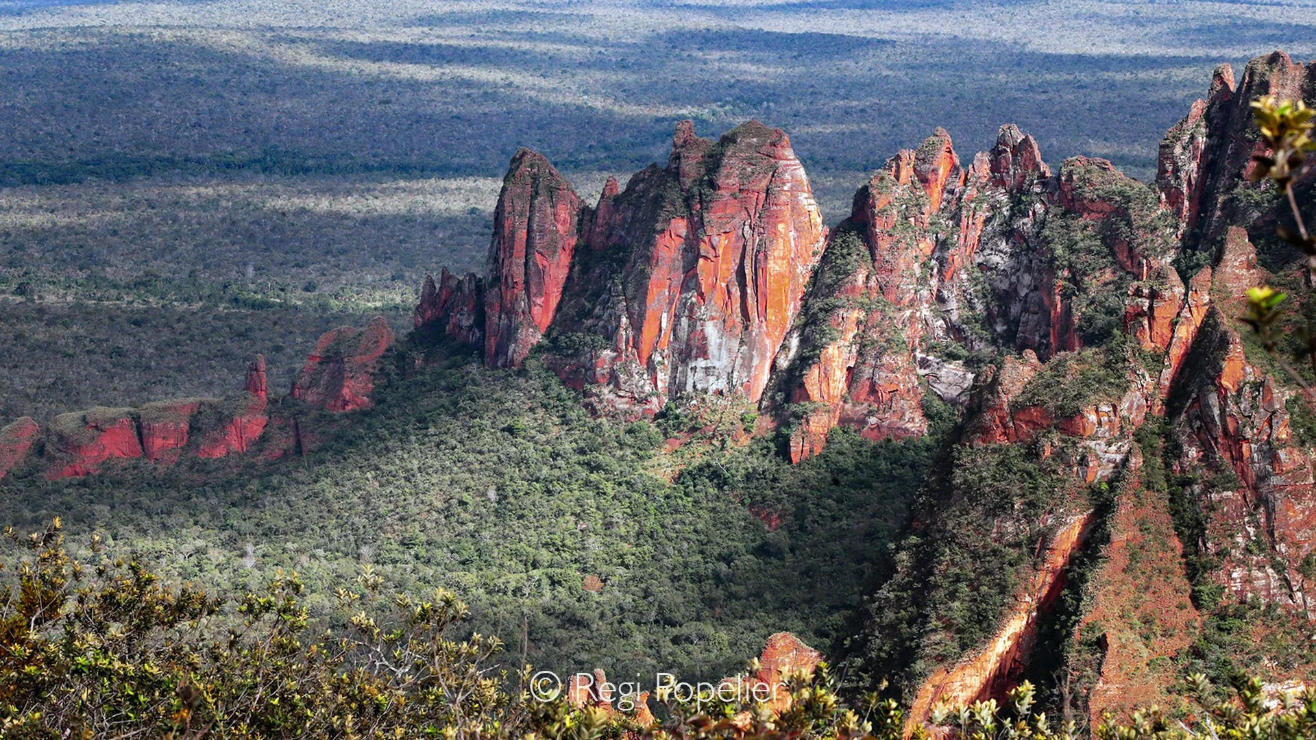BRA007 - Breathtaking view of a section of the Brazilian Cerrado the vast savannas, unique vegetation, and endless horizons showcasing the raw beauty of this iconic ecosystem.
