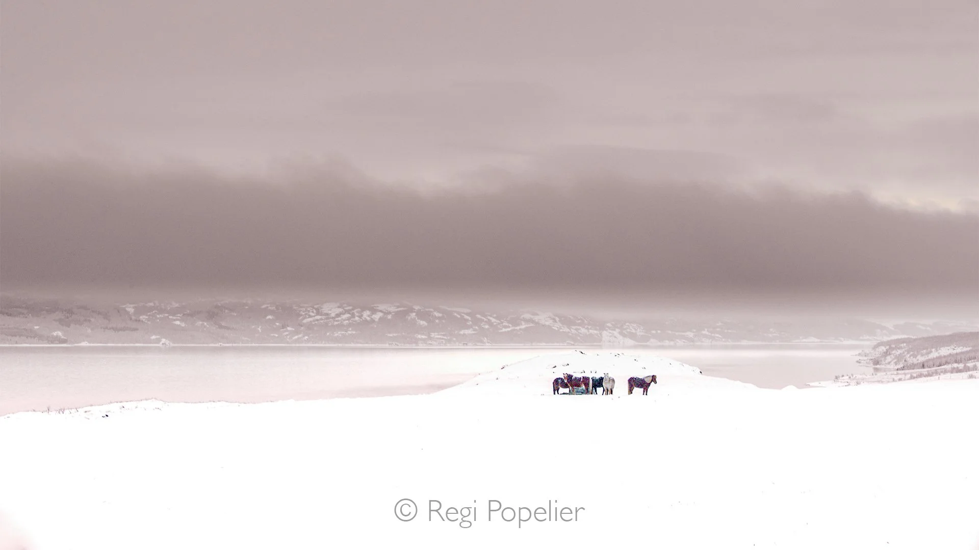 ICEL053 - Isolated and in heavy cold strong winter winds 