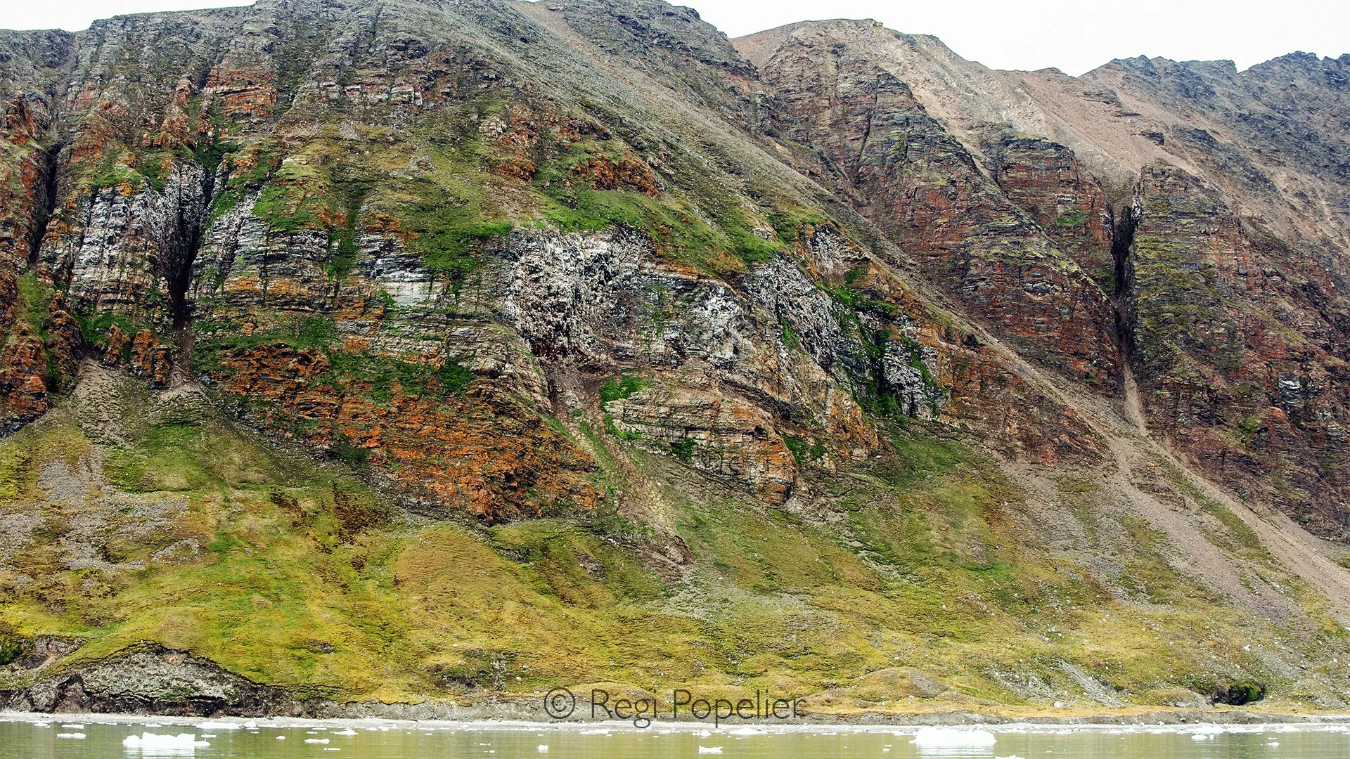 NPOLE001 - Cushions of vibrant moss cover the rocks, thriving in one of the world's harshest environments.