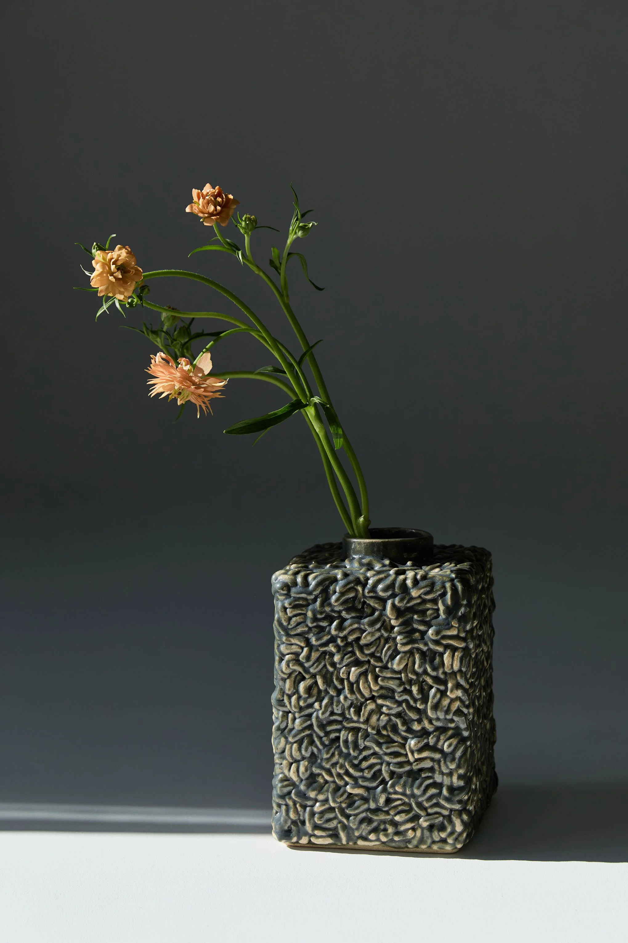 Une poterie décorative contenant des fleurs roses, avec un fond gris et un éclairage en diagonale