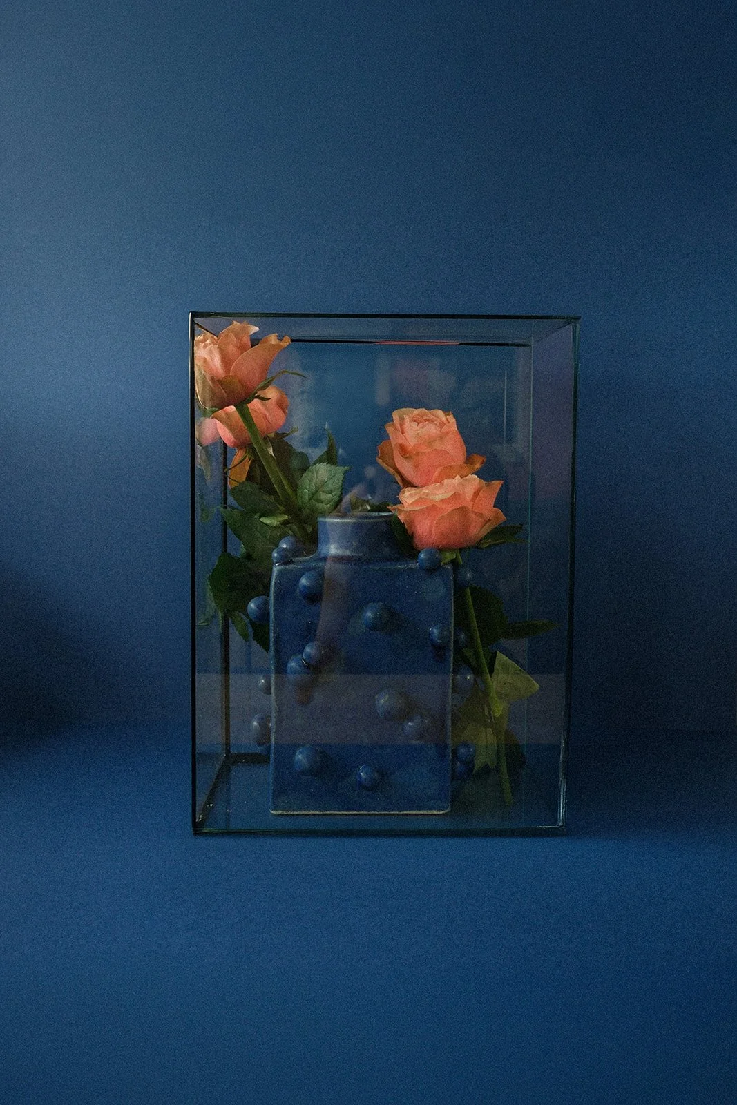 DSCF6058.jpg