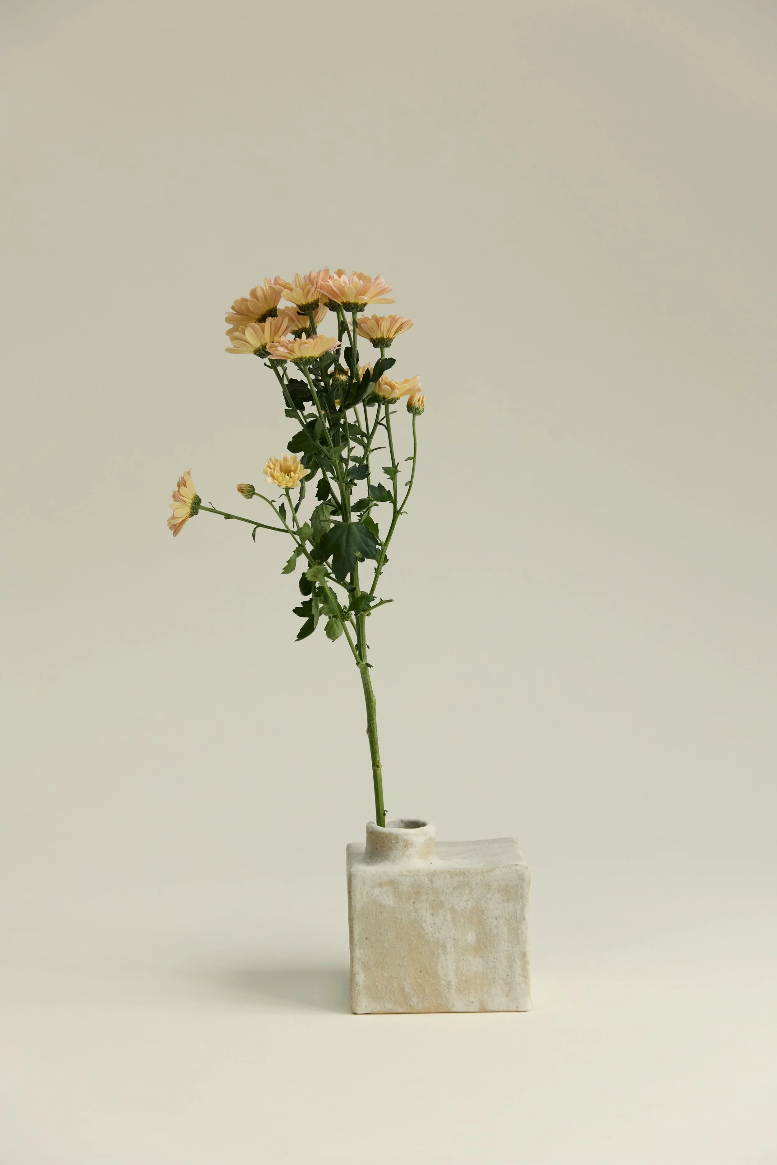 Cuubik - Small Craie
