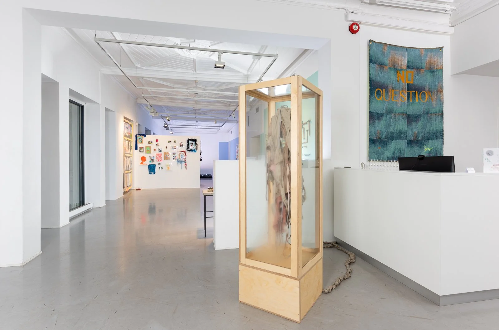 Your Daily Exhuberance 02.jpg