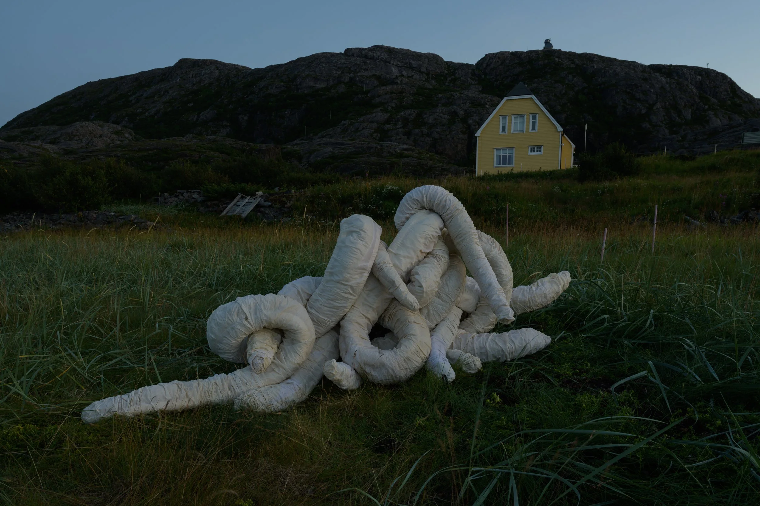 Jærtegn Grense Jakobselv nøytral-3.jpg