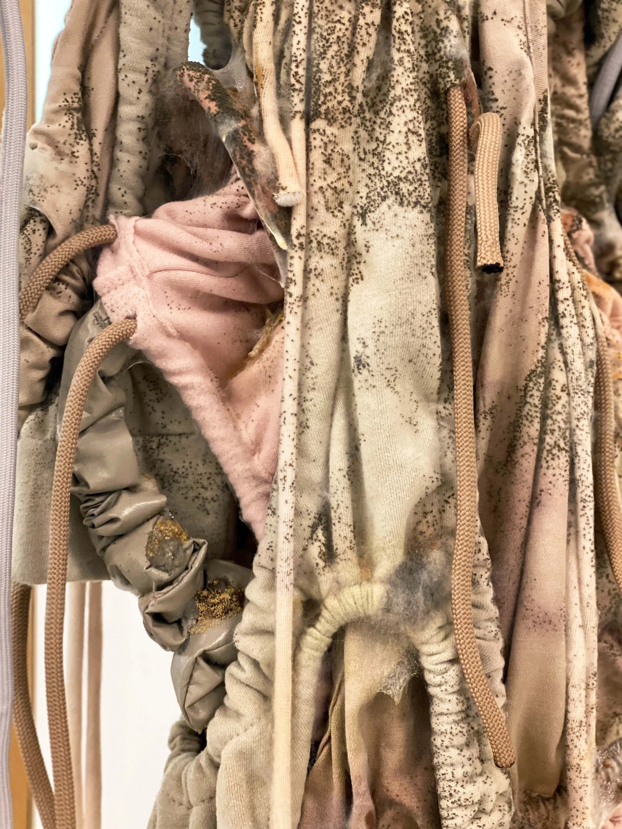 Your Daily Exuberance