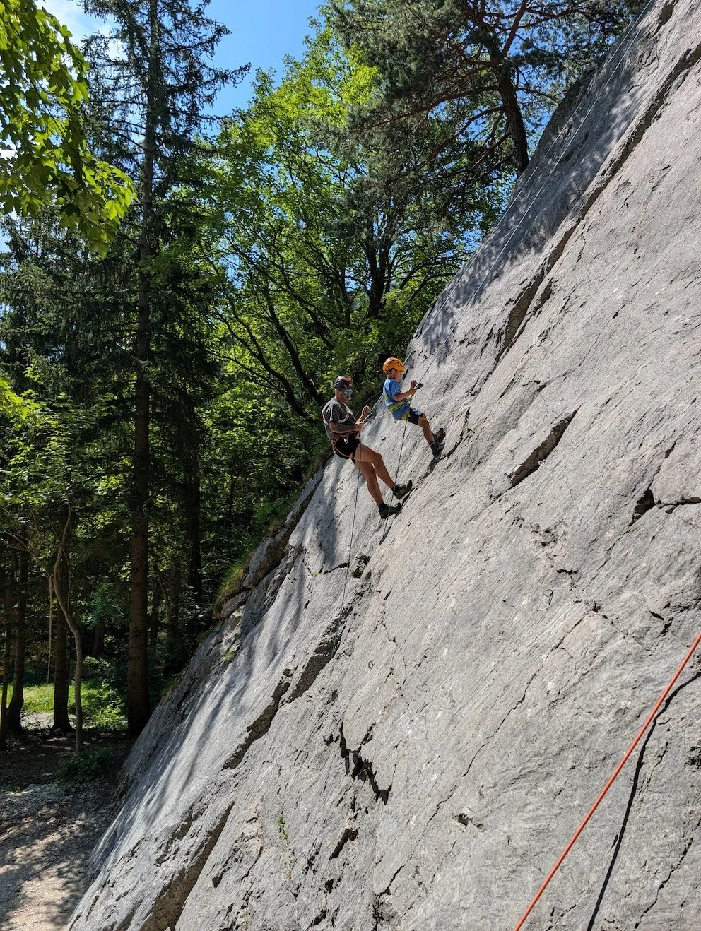 Climbing harnesses and gear laid out on the ground in a forested outdoor setting, with four people standing in the background.