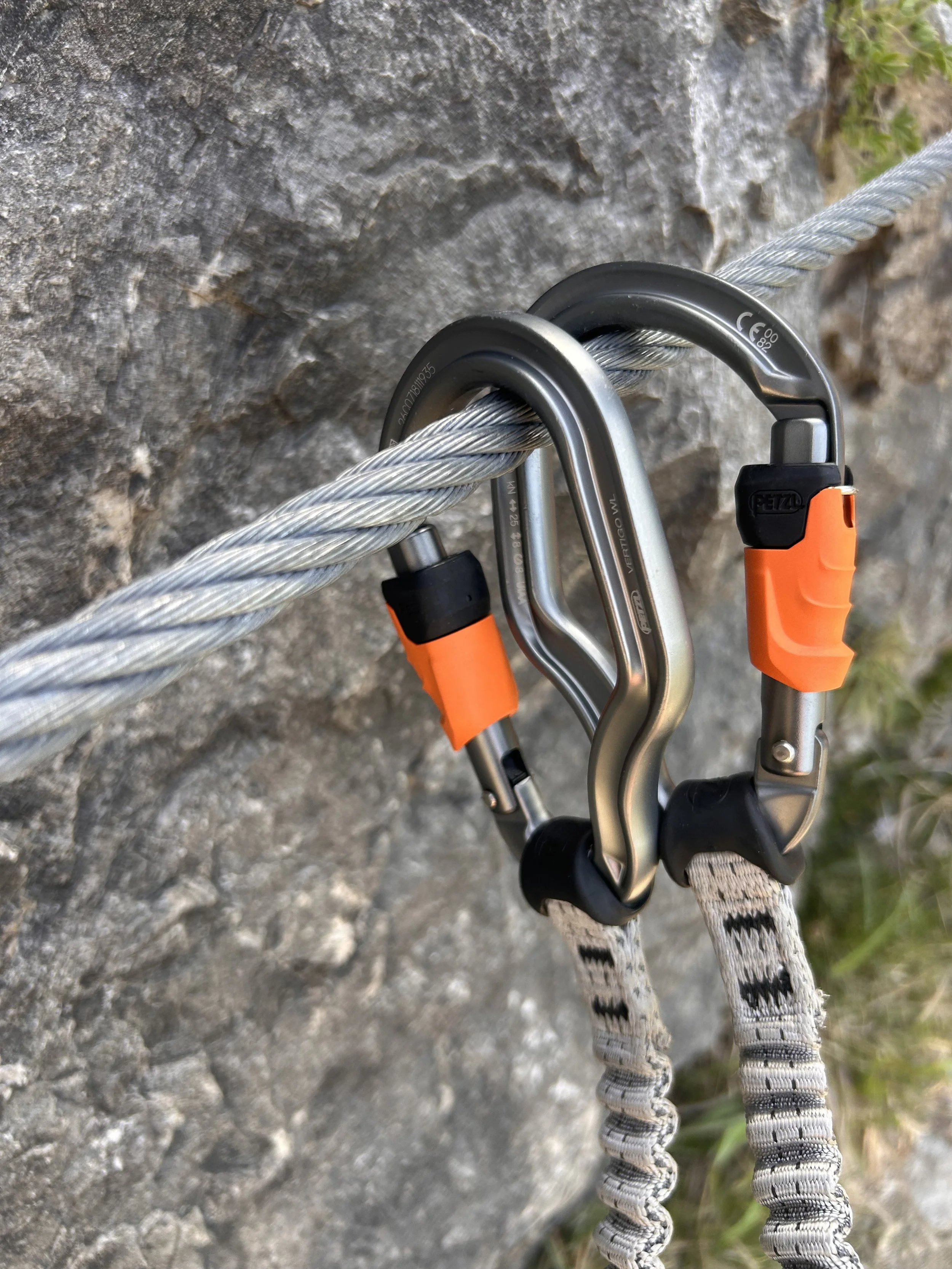 Close-up of a climbing anchor with a carabiner attached to a rock face during outdoor rock climbing, with a green forest background.