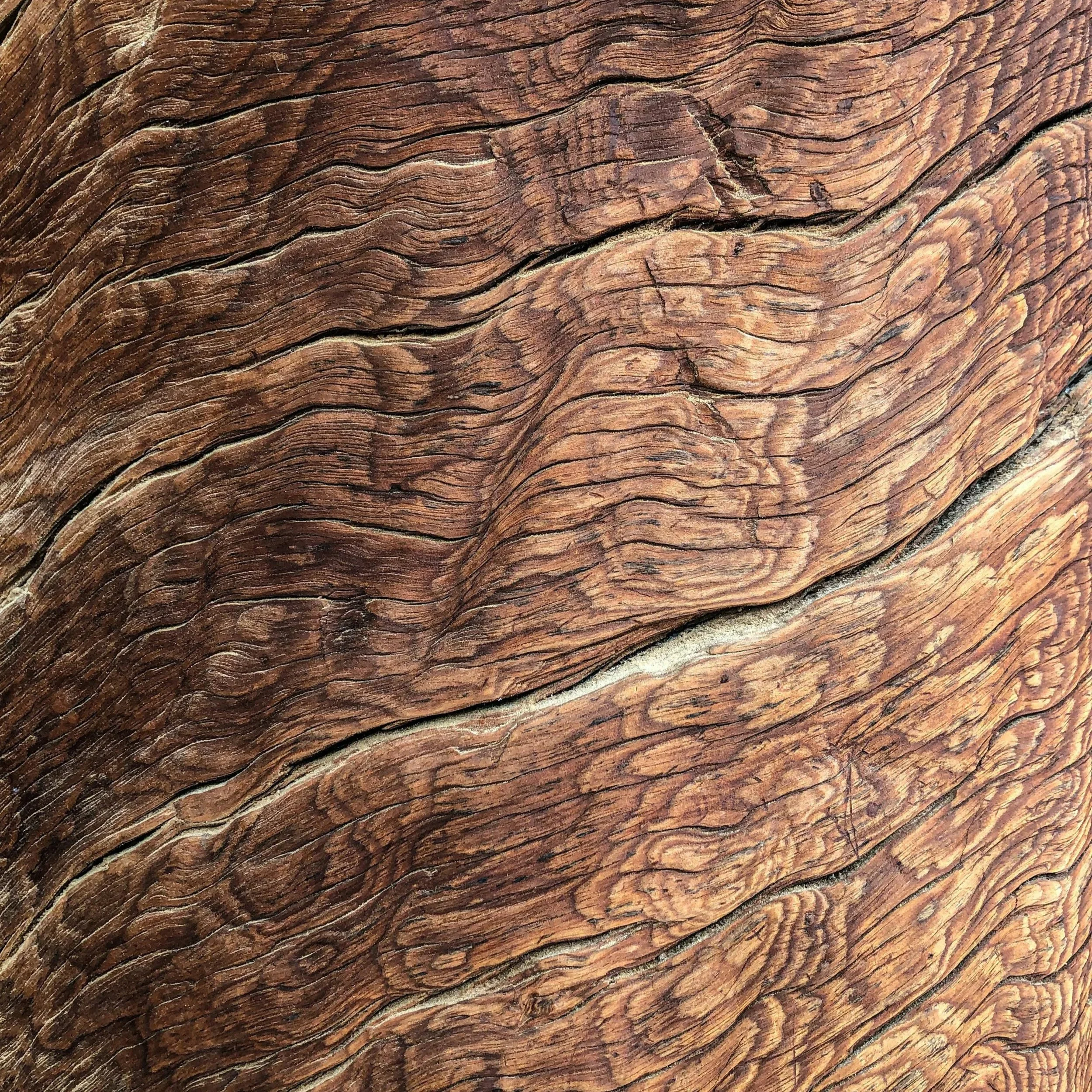 Beyond Politics: Why Wise Businesses Persist with Sustainability