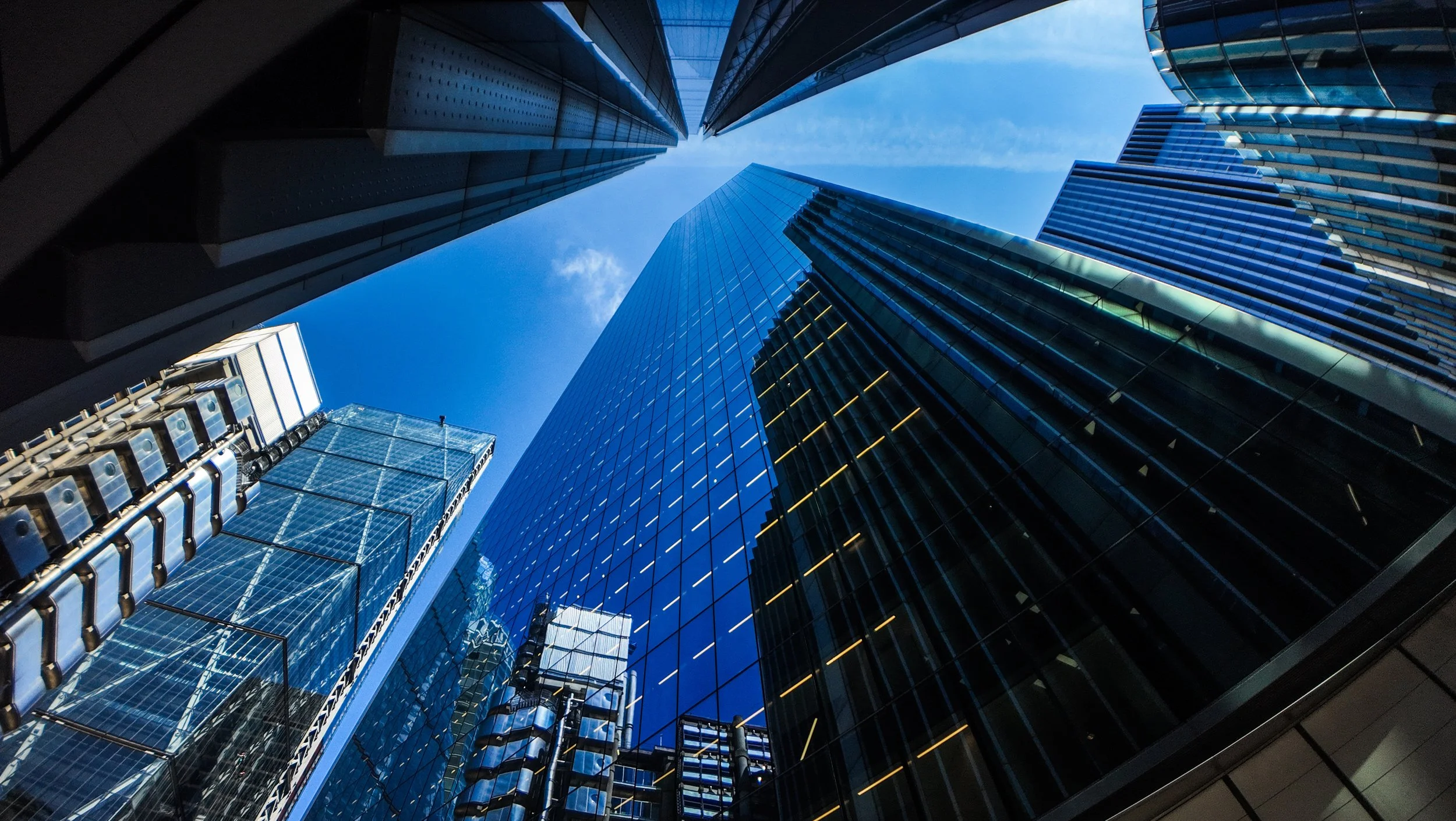 Beyond Politics: Why Wise Businesses Persist with Sustainability (Copy)