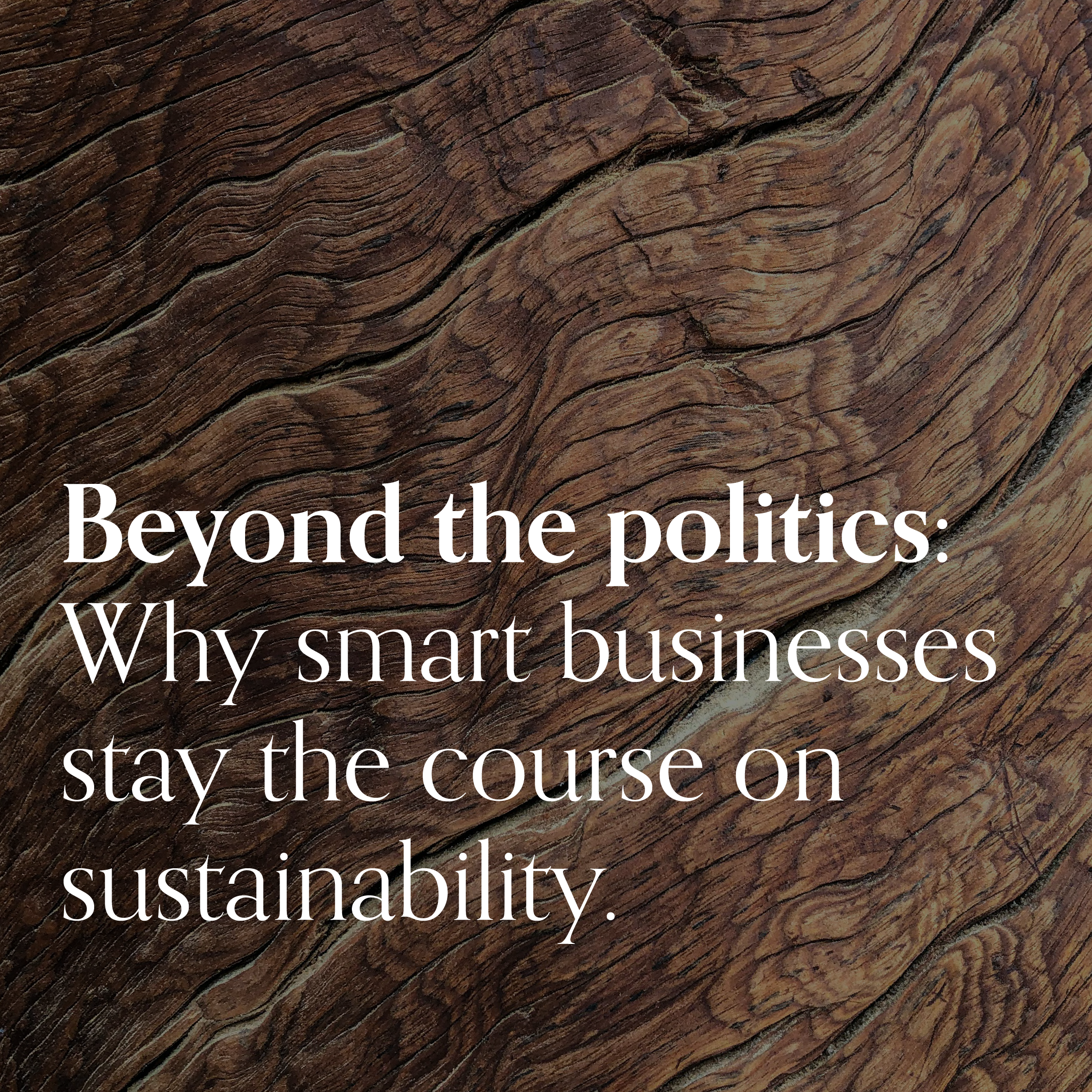 Text overlay on a textured wooden background reading: "Beyond the politics: Why smart businesses stay the course on sustainability."