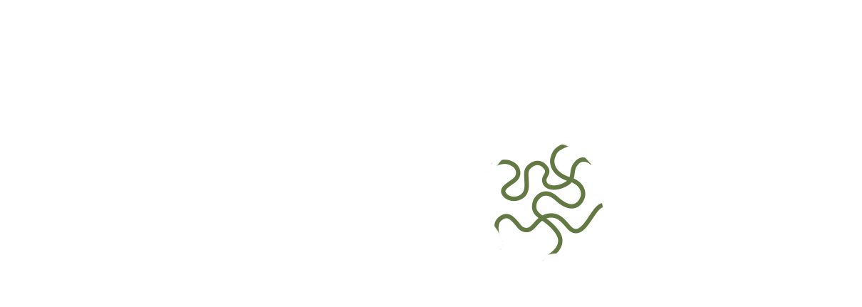 Haringey Welcome logo with a globe illustration and the words 'Dignity. Justice. Welcome.' underneath.