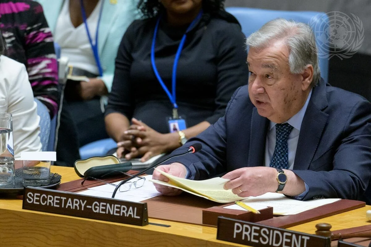 Kan Danmark gøre en forskel i FN’s Sikkerhedsråd?