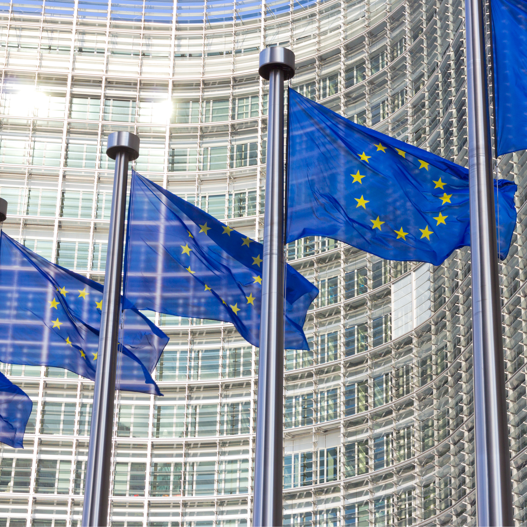 EU-netværk for civilsamfundet: Hvad bestemmer EU om sundhed?