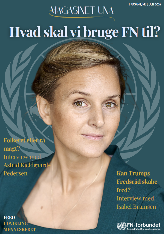 Hvad skal vi bruge FN til?