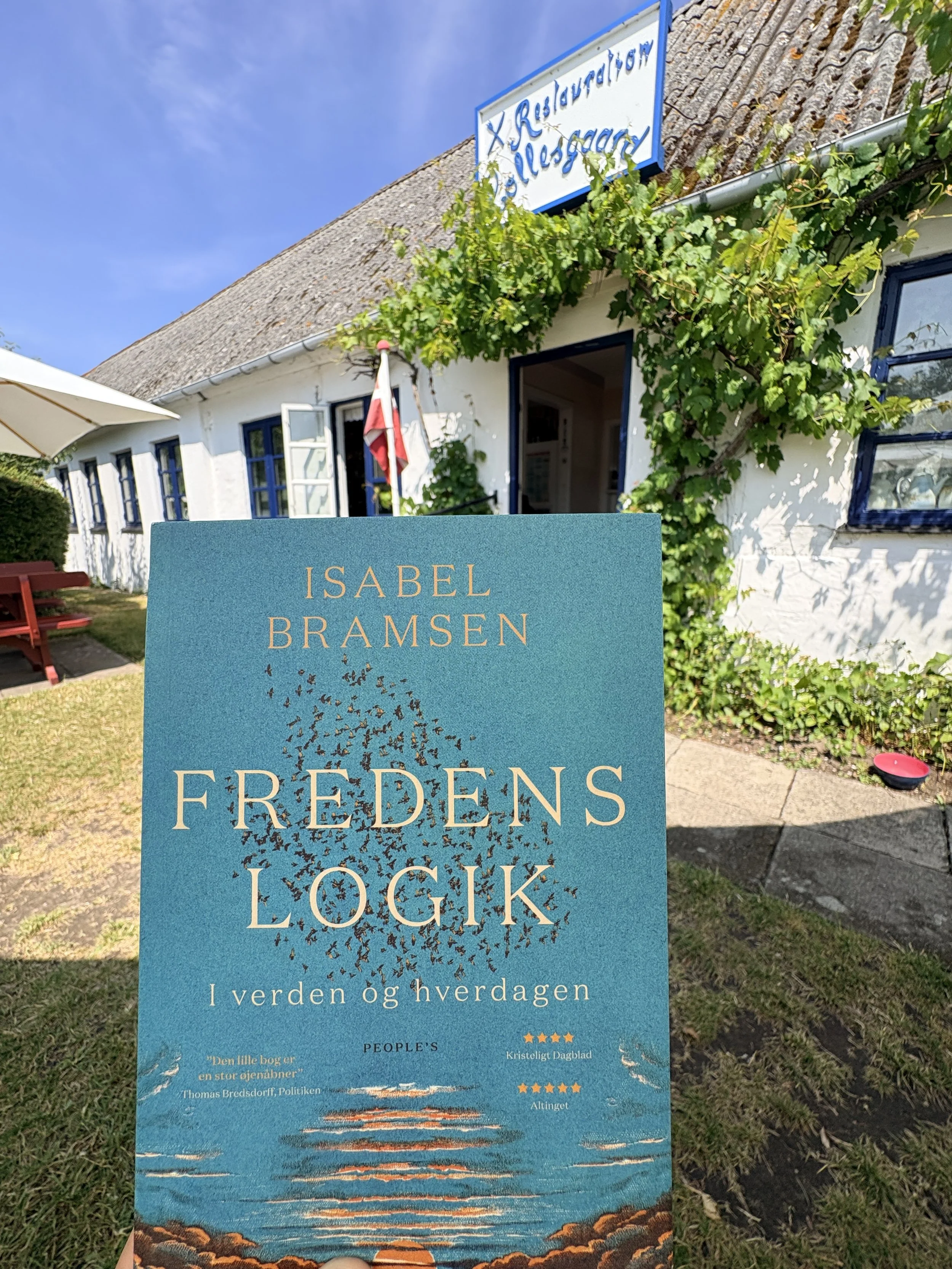 Sommerbog til en verden i opbrud: Fredens Logik&nbsp;