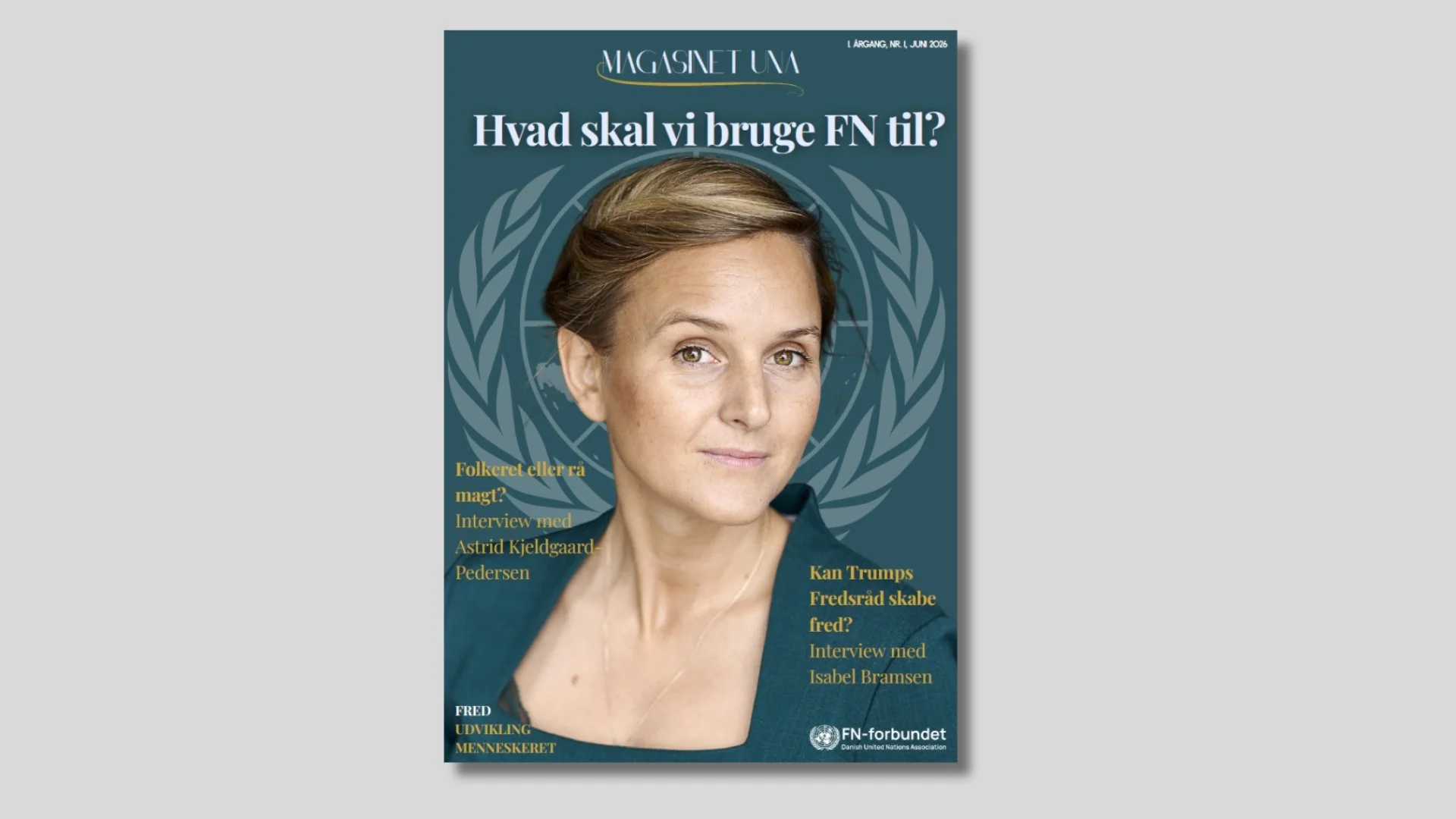 Ny temapublikation: Hvad skal vi bruge FN til?