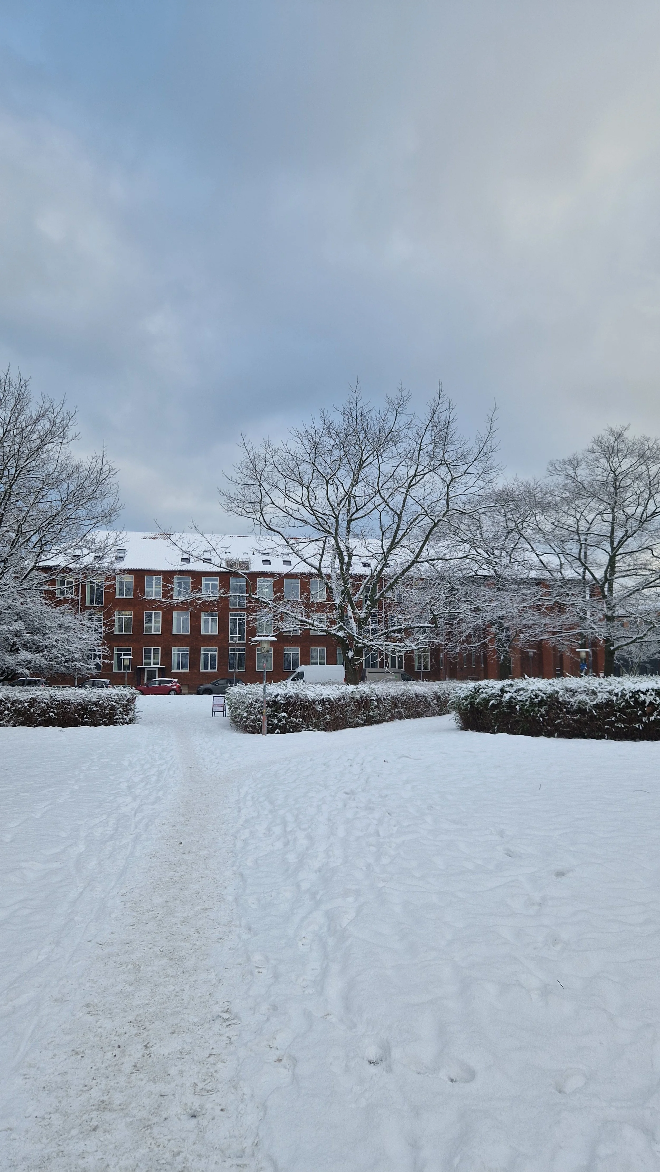 Sne i Danmark viser, hvor meget FN arbejder i det skjulte ❄️