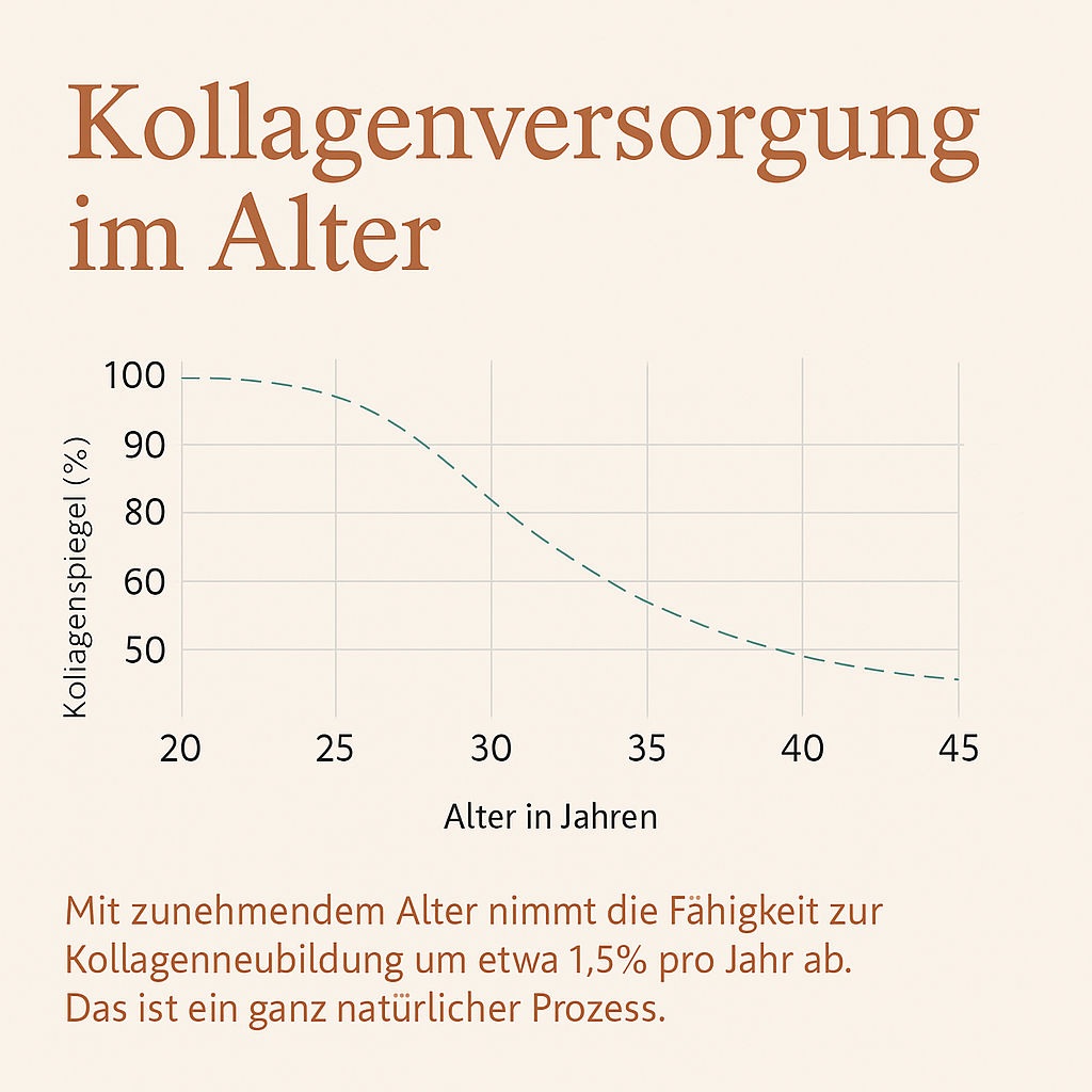 Amazon_Bild5.png