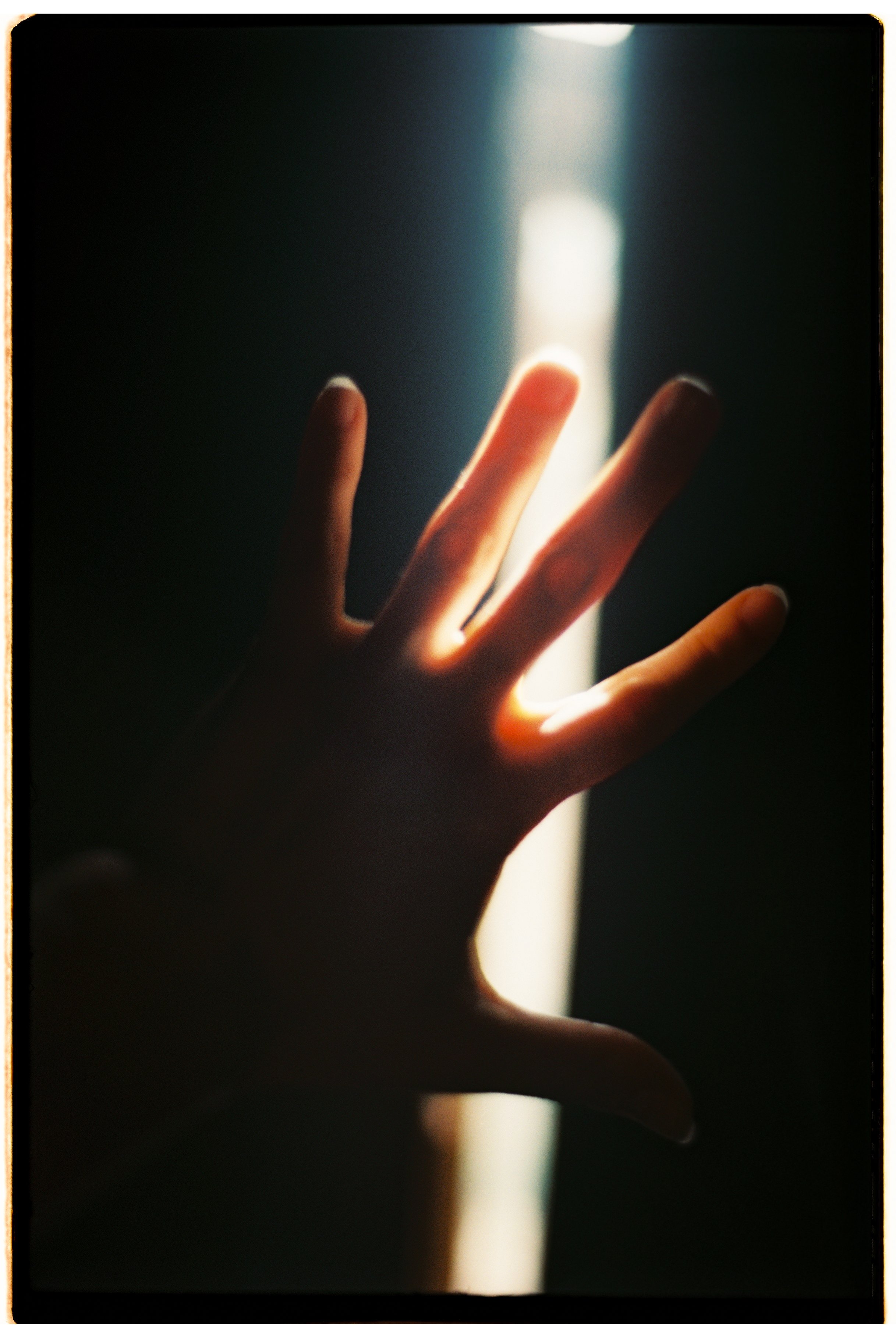 № 15: Haunting Pleasure