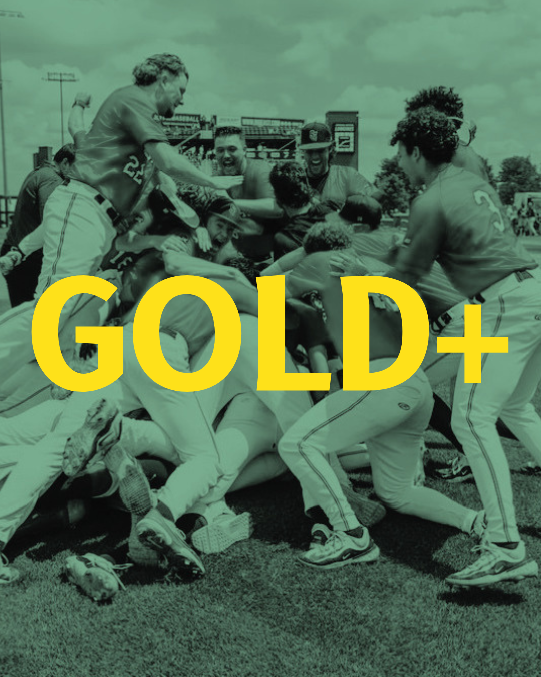 CLUB MEMBERSHIP GOLD+
