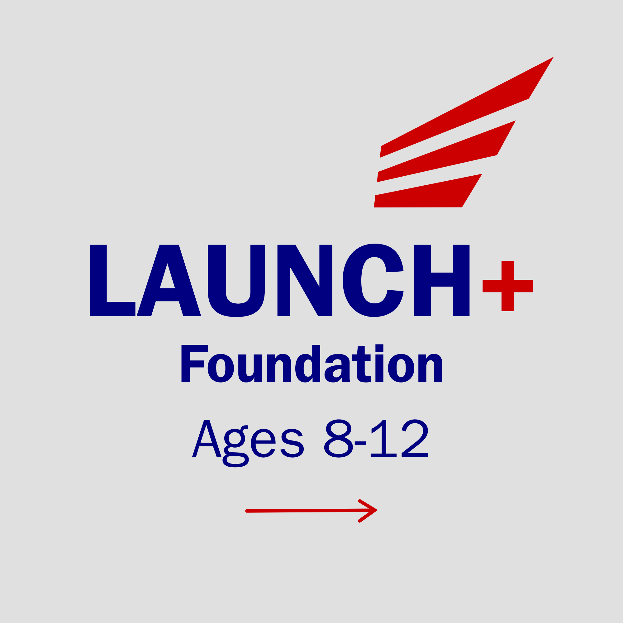 LAUNCH+ Foundation