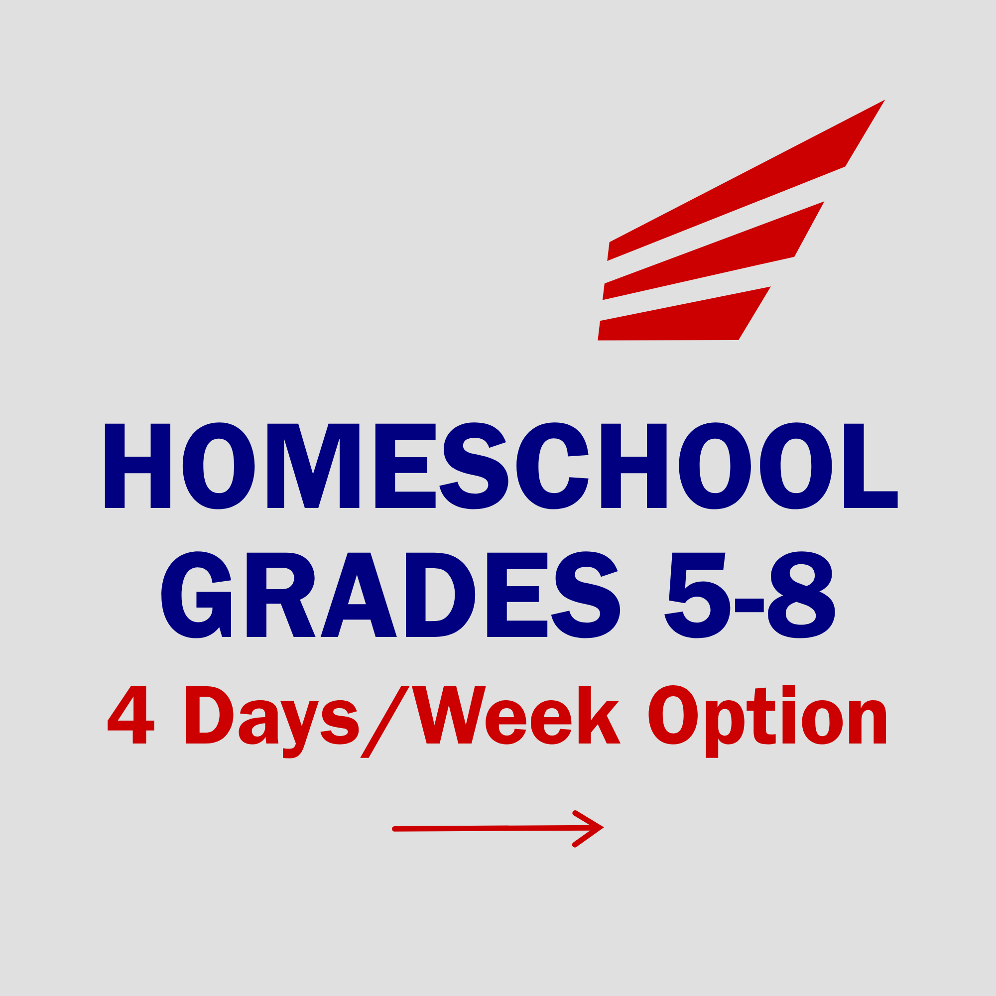 Grades 5 to 8 homeschool baseball and movement training, 4 days per week