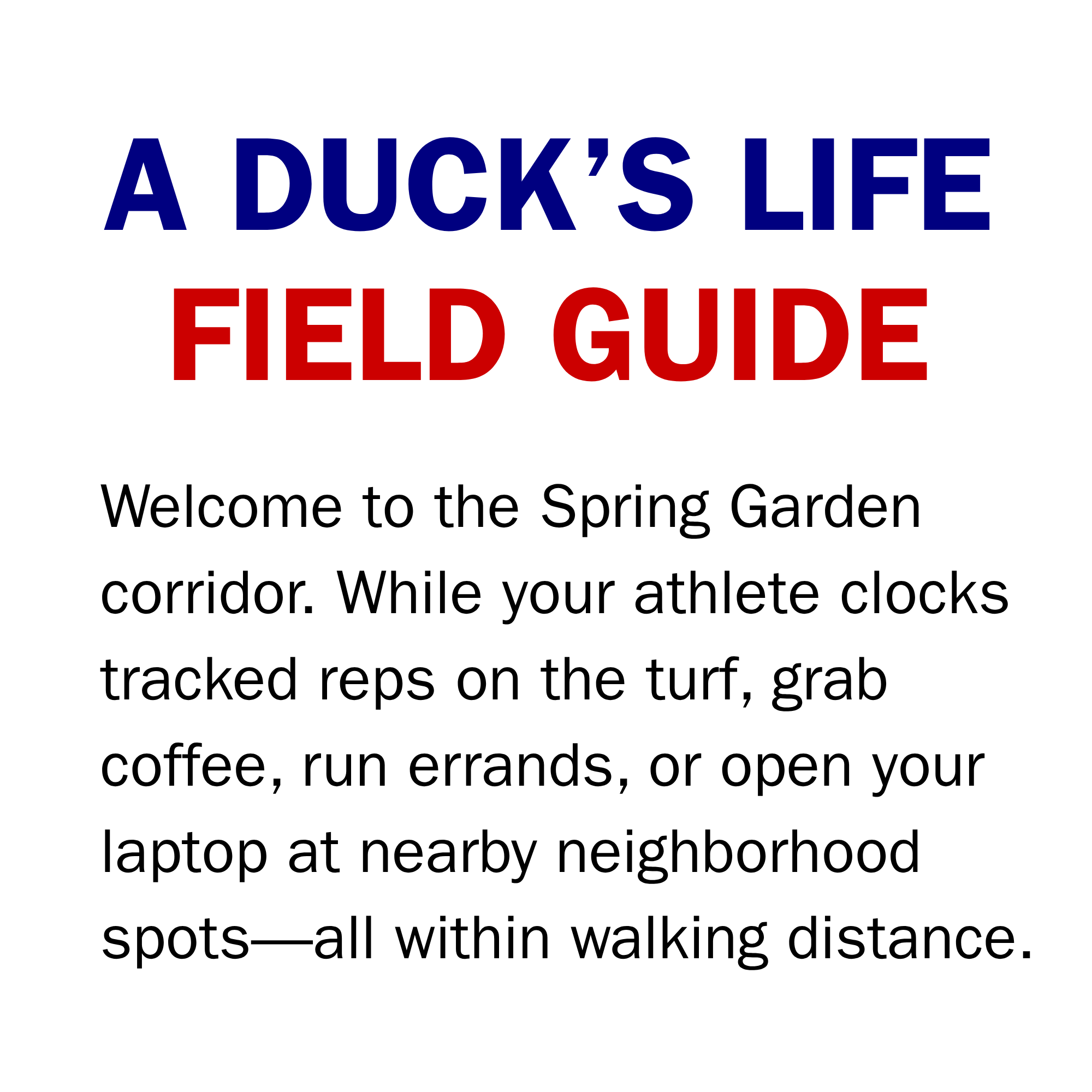 Field guide to local cafes, dining, and shops along the Spring Garden corridor