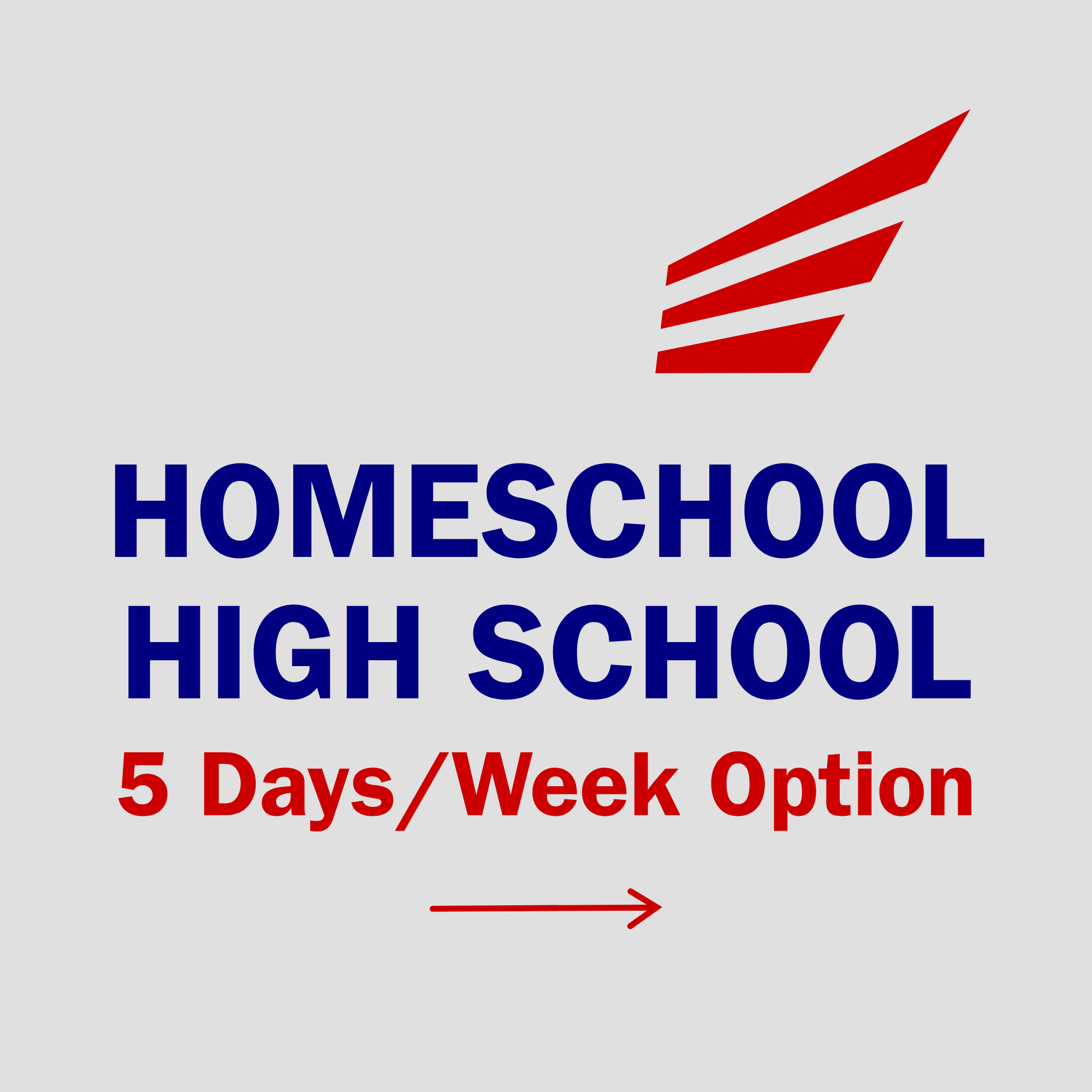 High school homeschool intensive baseball training program, 5 days per week