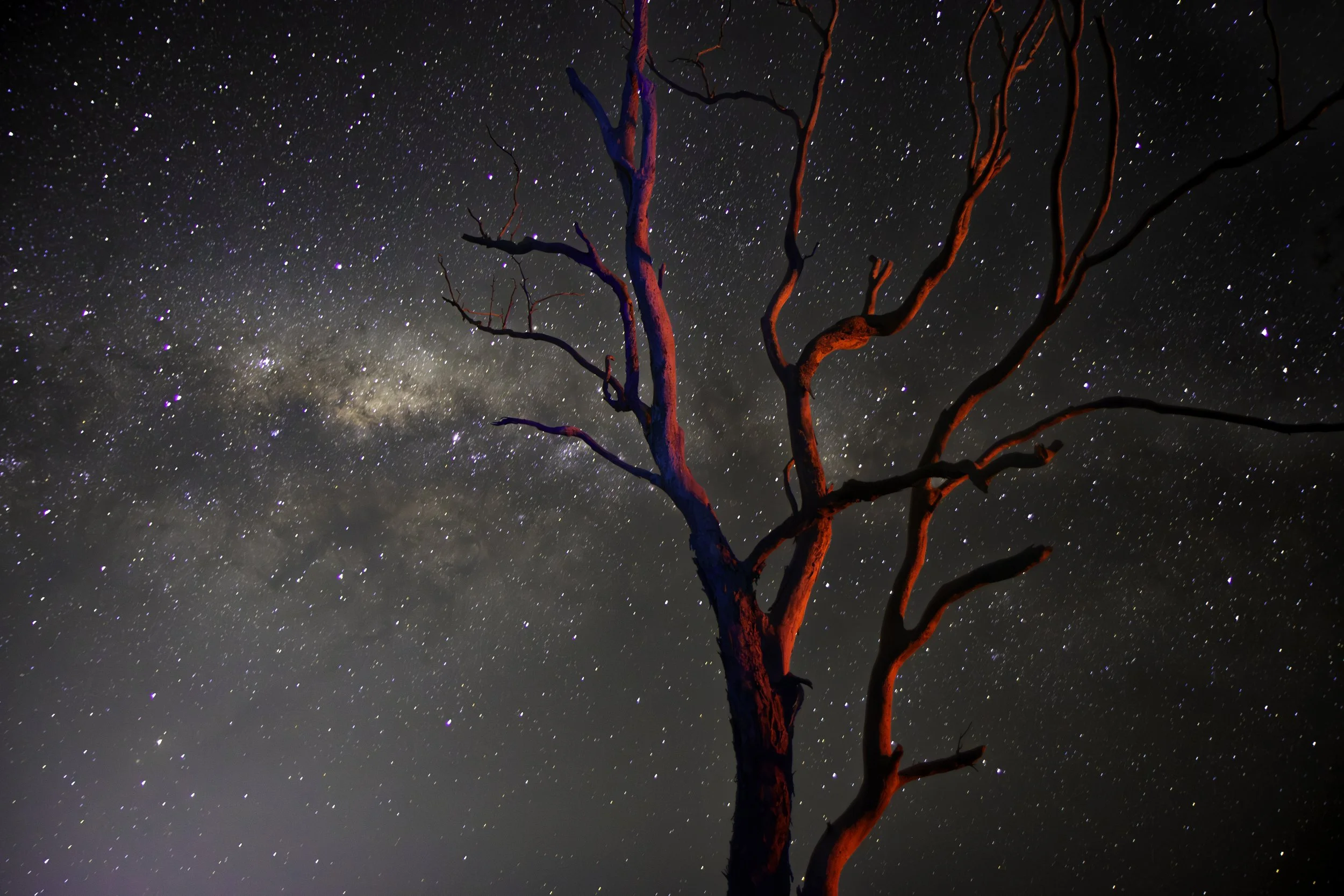 IMG_1499-Edit copy.jpg