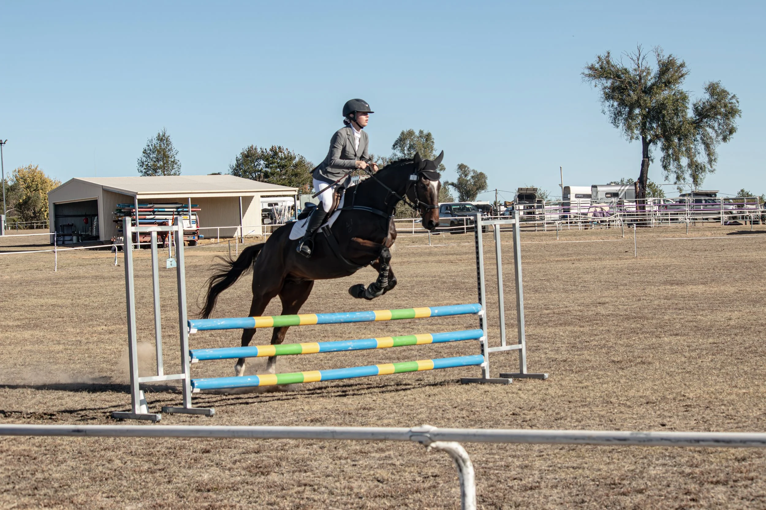 IMG_4921-Enhanced-NR copy.jpg