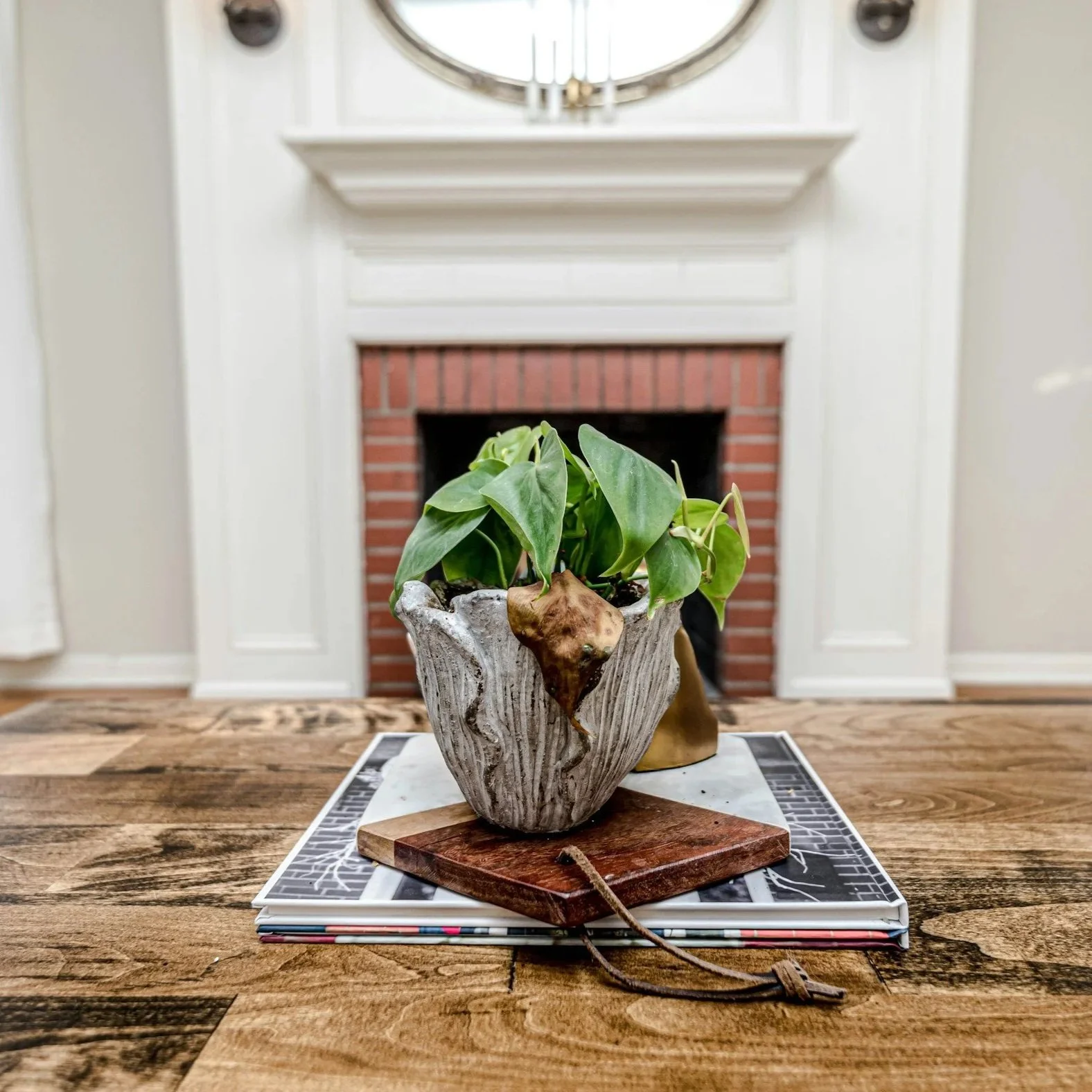 A potted green plant with large leaves on a wooden table in front of a fireplace with a white mantel and red brick interior.