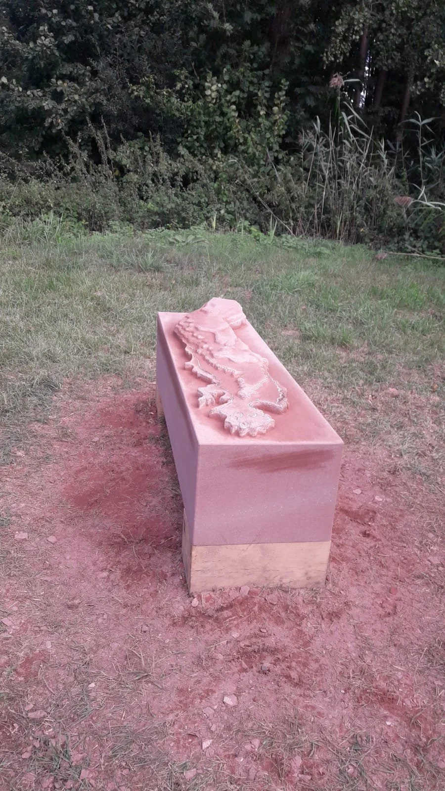 Contre forme - Étang de Baerenthal