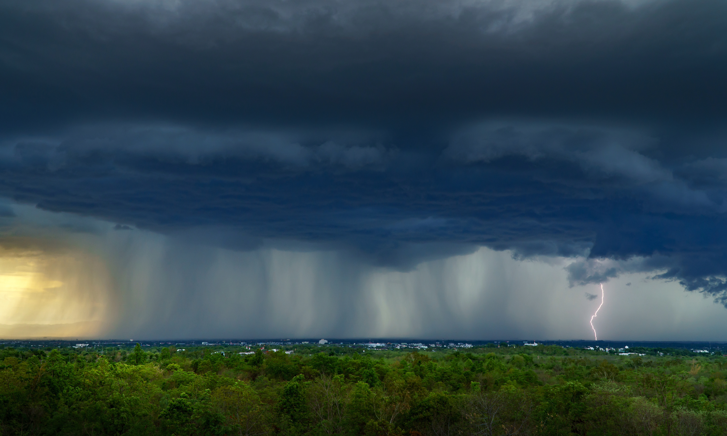 Avoid Price Gouging After a Storm&nbsp;