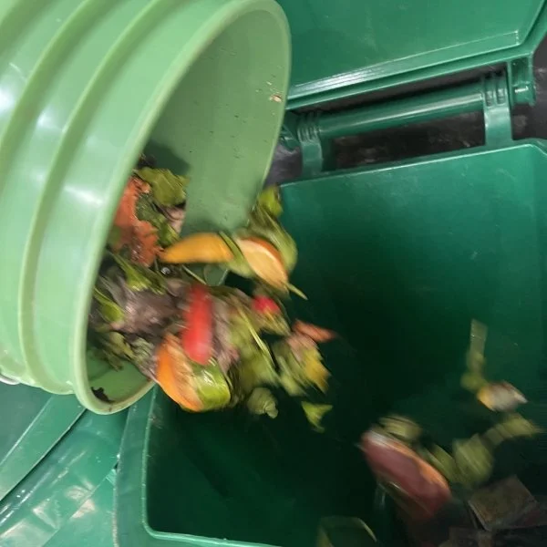 Iris - Give A Scrap Bucket2.jpeg