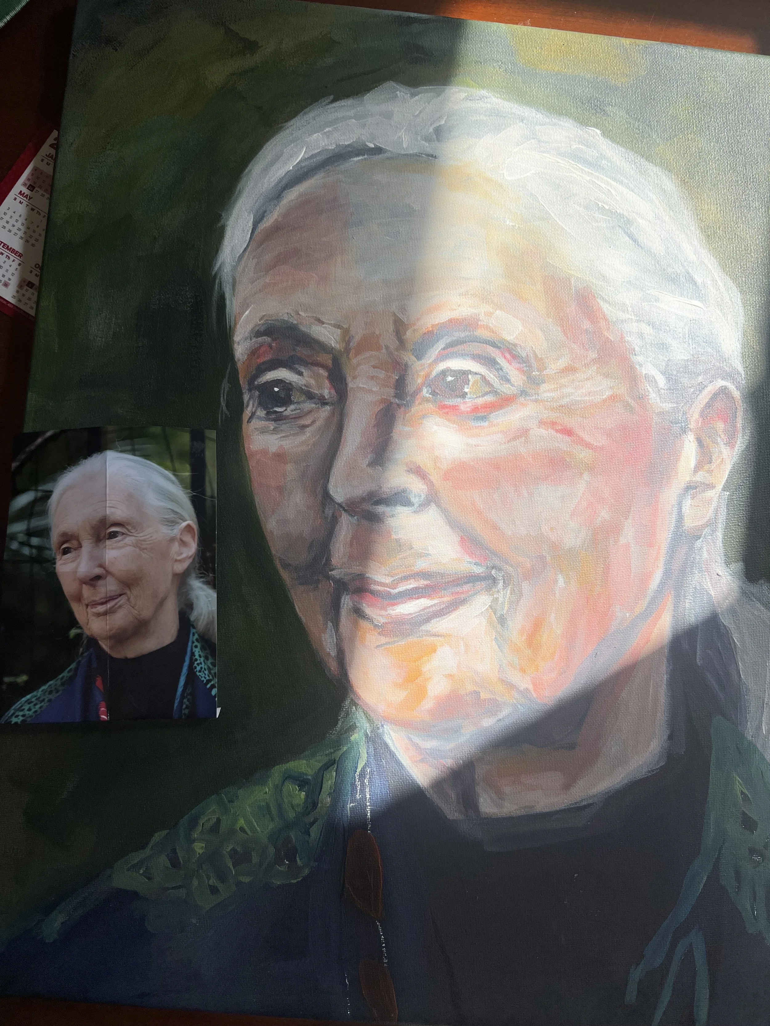Jane Goodall.jpeg