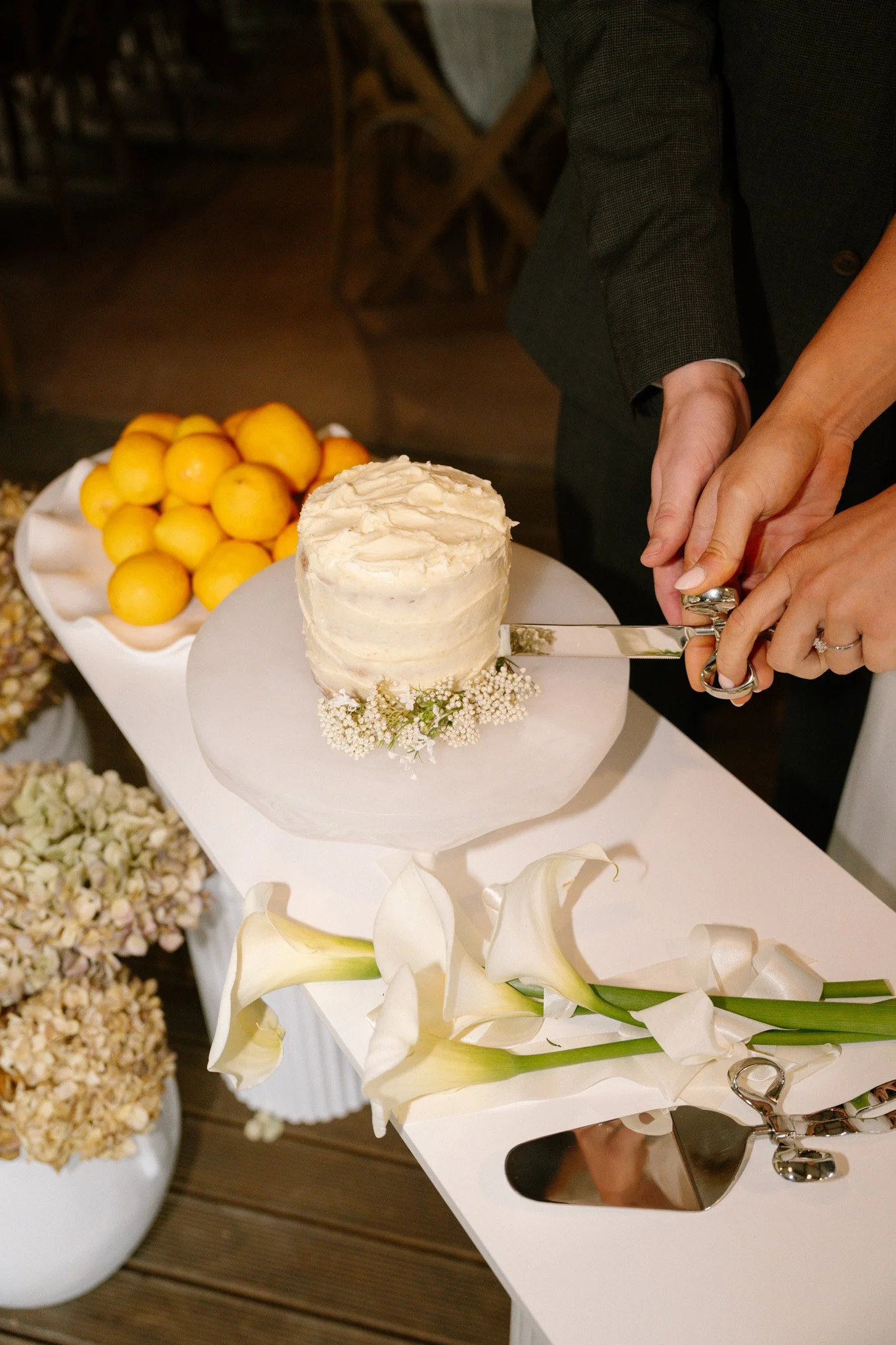 DSC01182.jpg