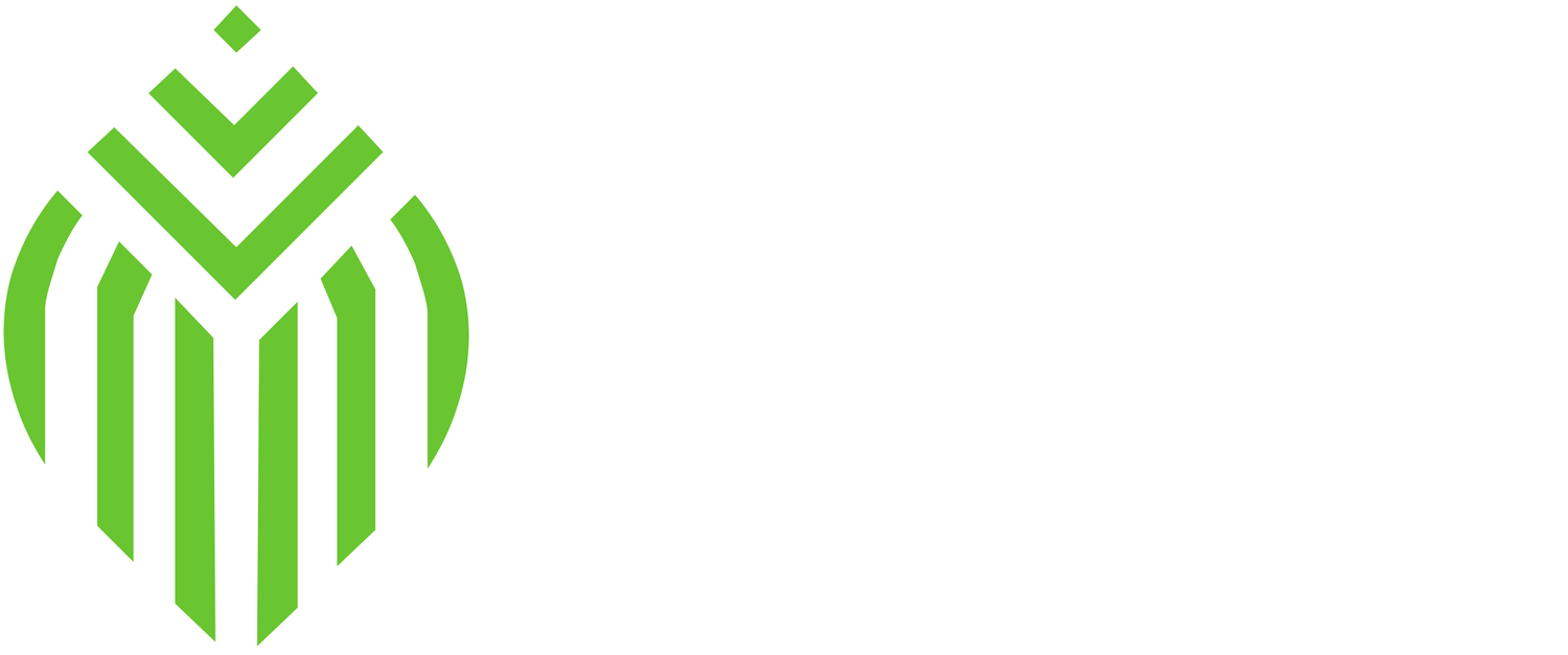 Next Step Business Support