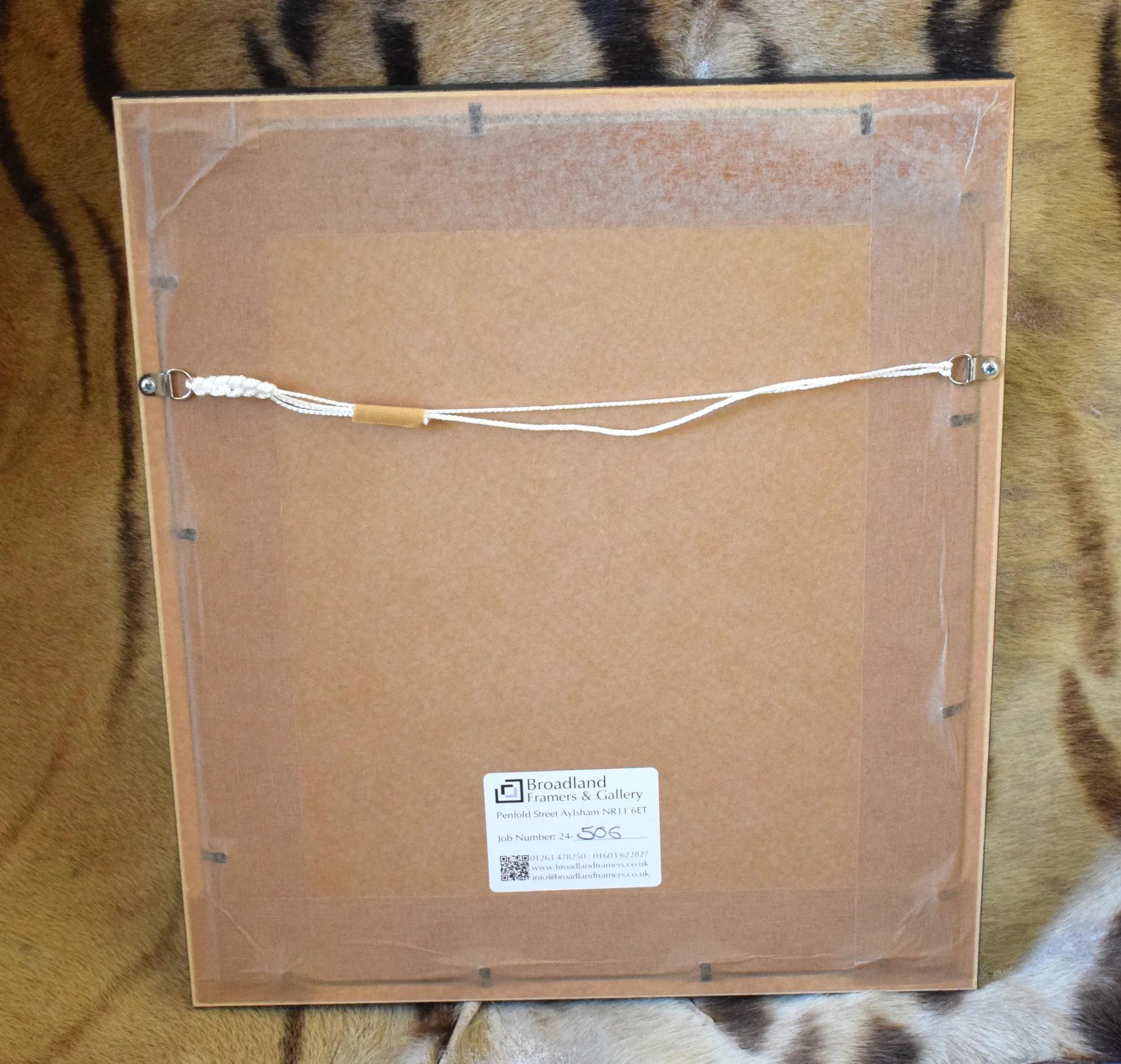 Norfolk Hounds 2.JPG