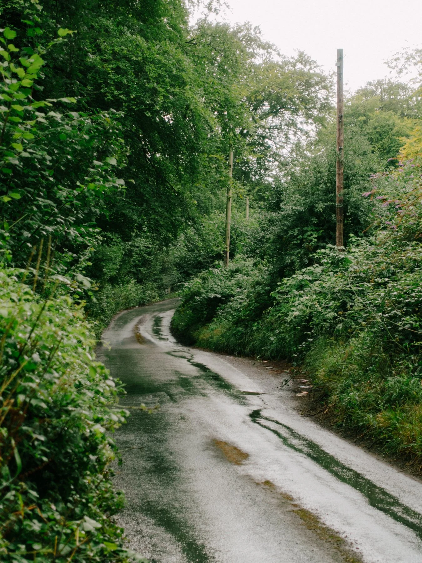 THE WHITE HORSE ROUND