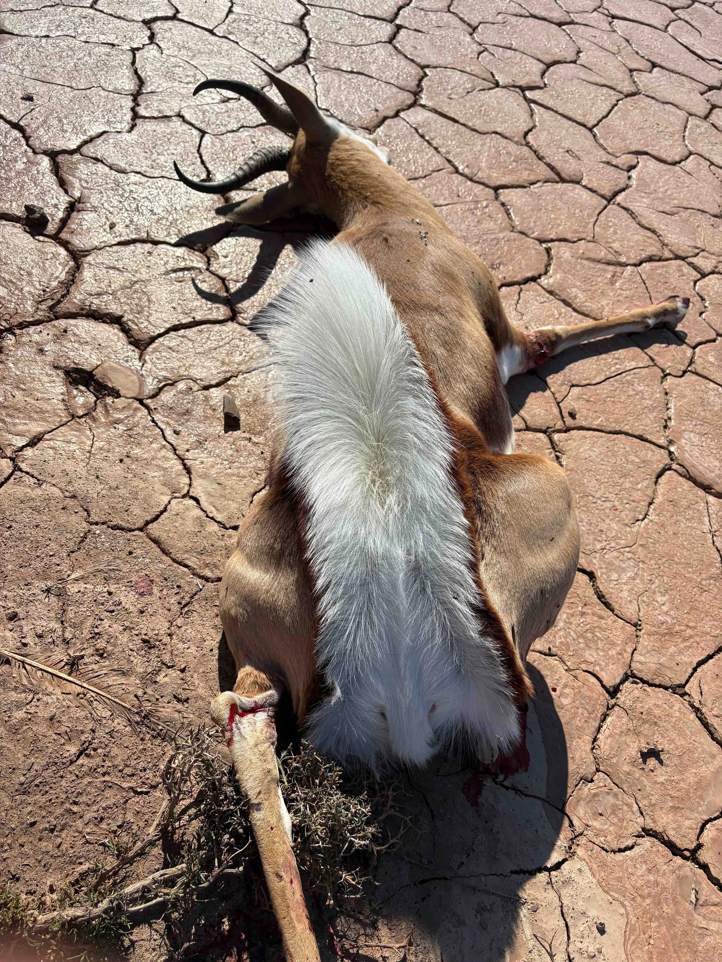 Photo 15-05-2025, 12 52 54.jpg