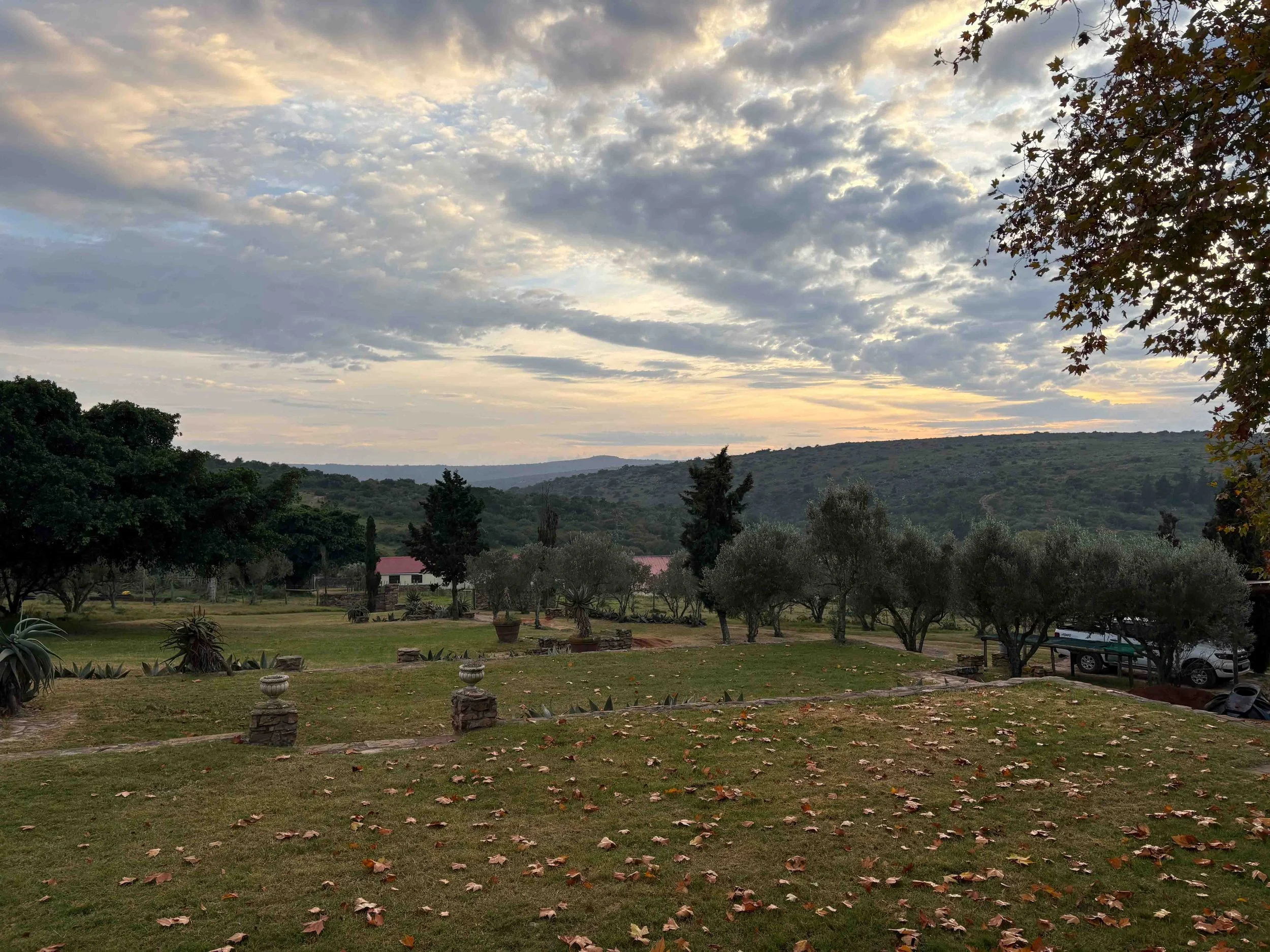 Photo 18-05-2025, 07 23 42.jpg