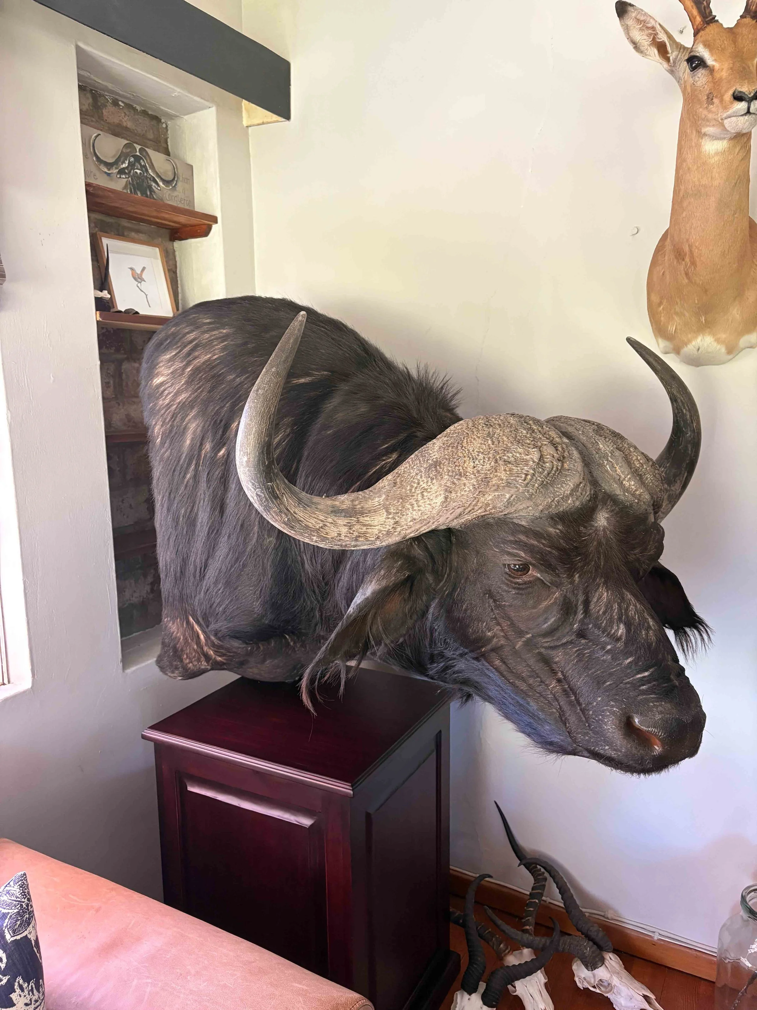 Photo 14-05-2025, 11 31 51.jpg