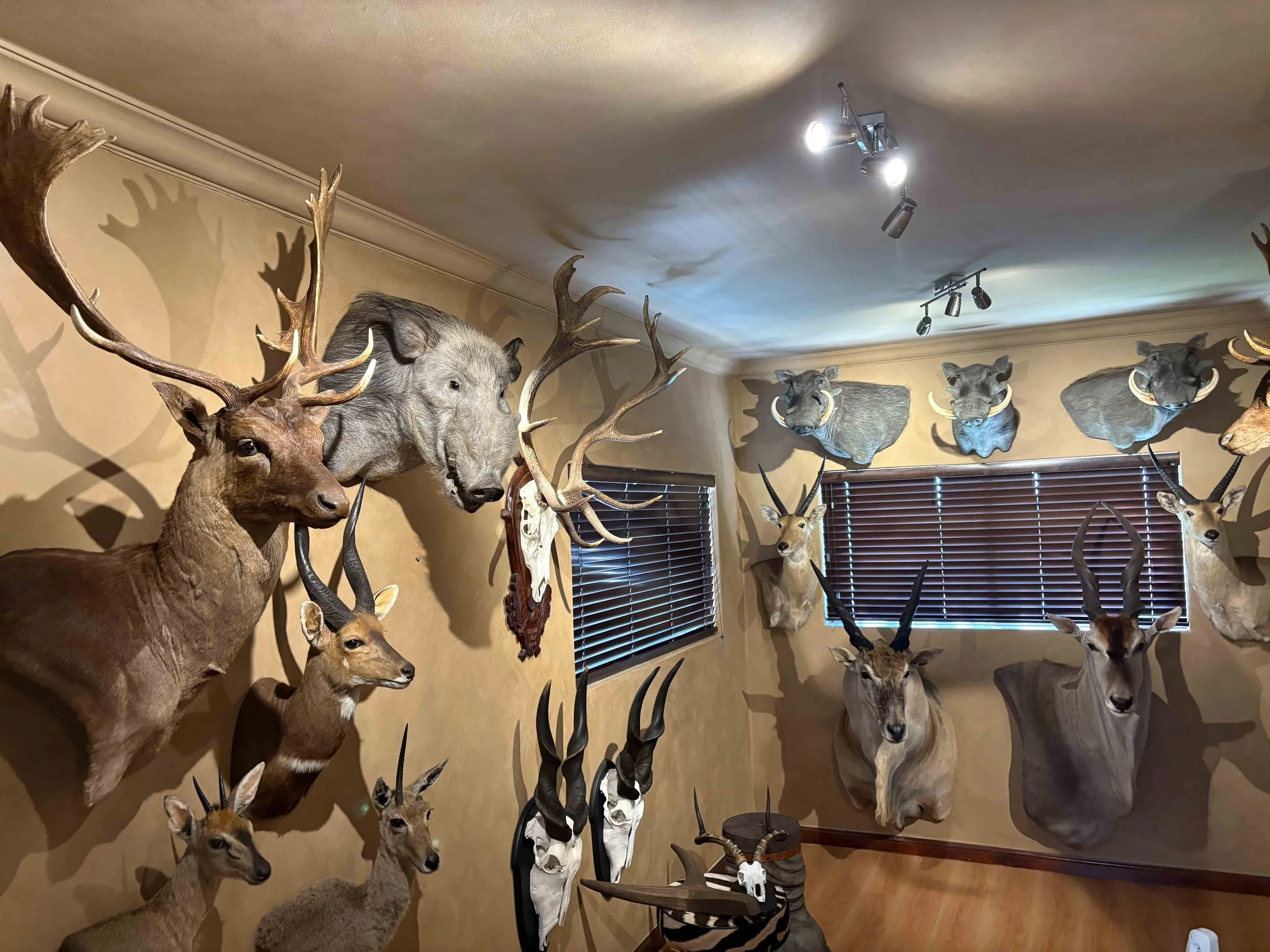 Photo 13-05-2025, 13 46 49.jpg