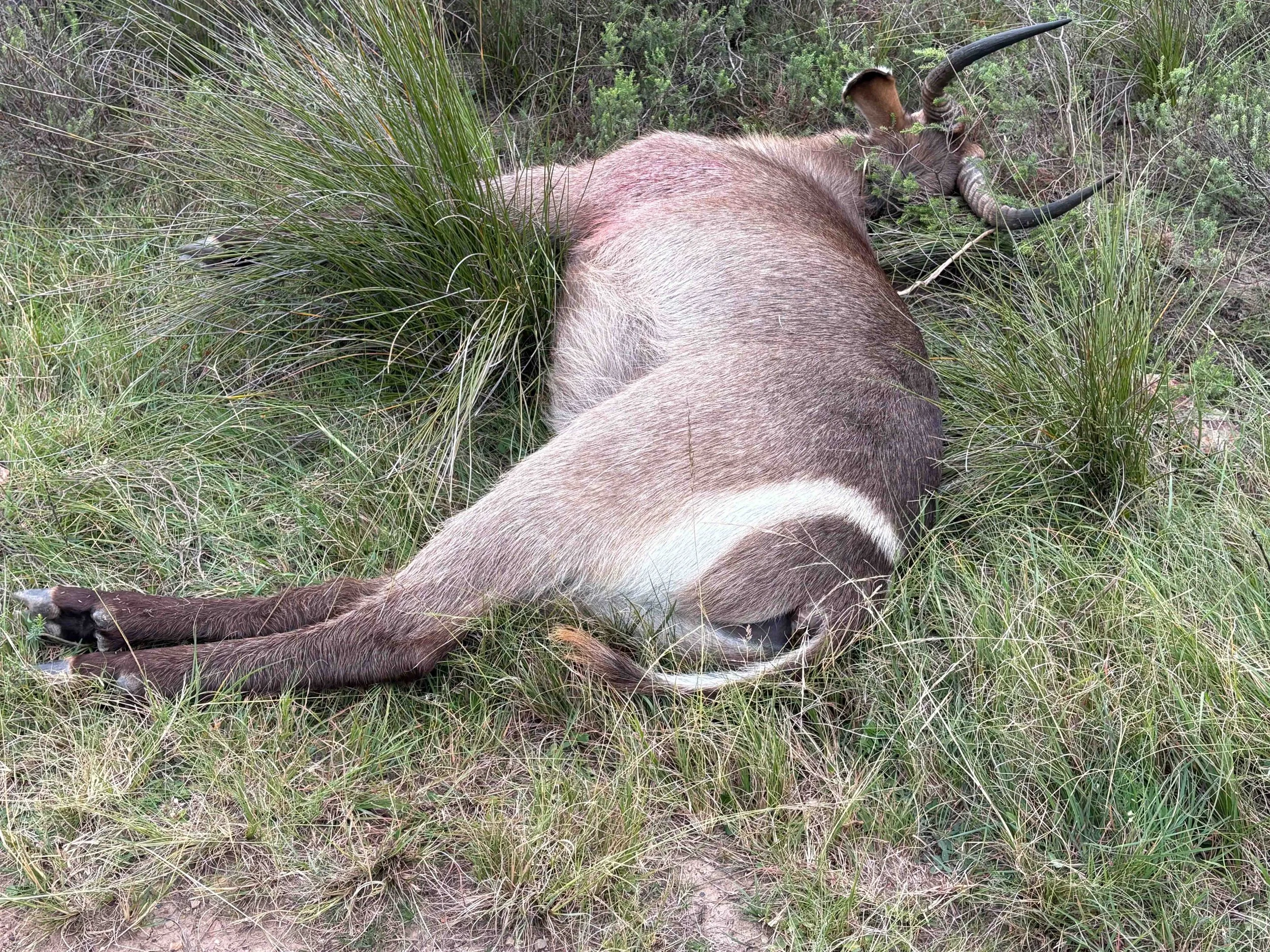 Photo 19-05-2025, 09 31 38.jpg