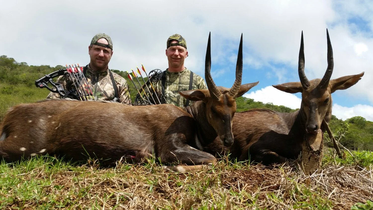Bushbuck 2.jpg (Copy) (Copy) (Copy)